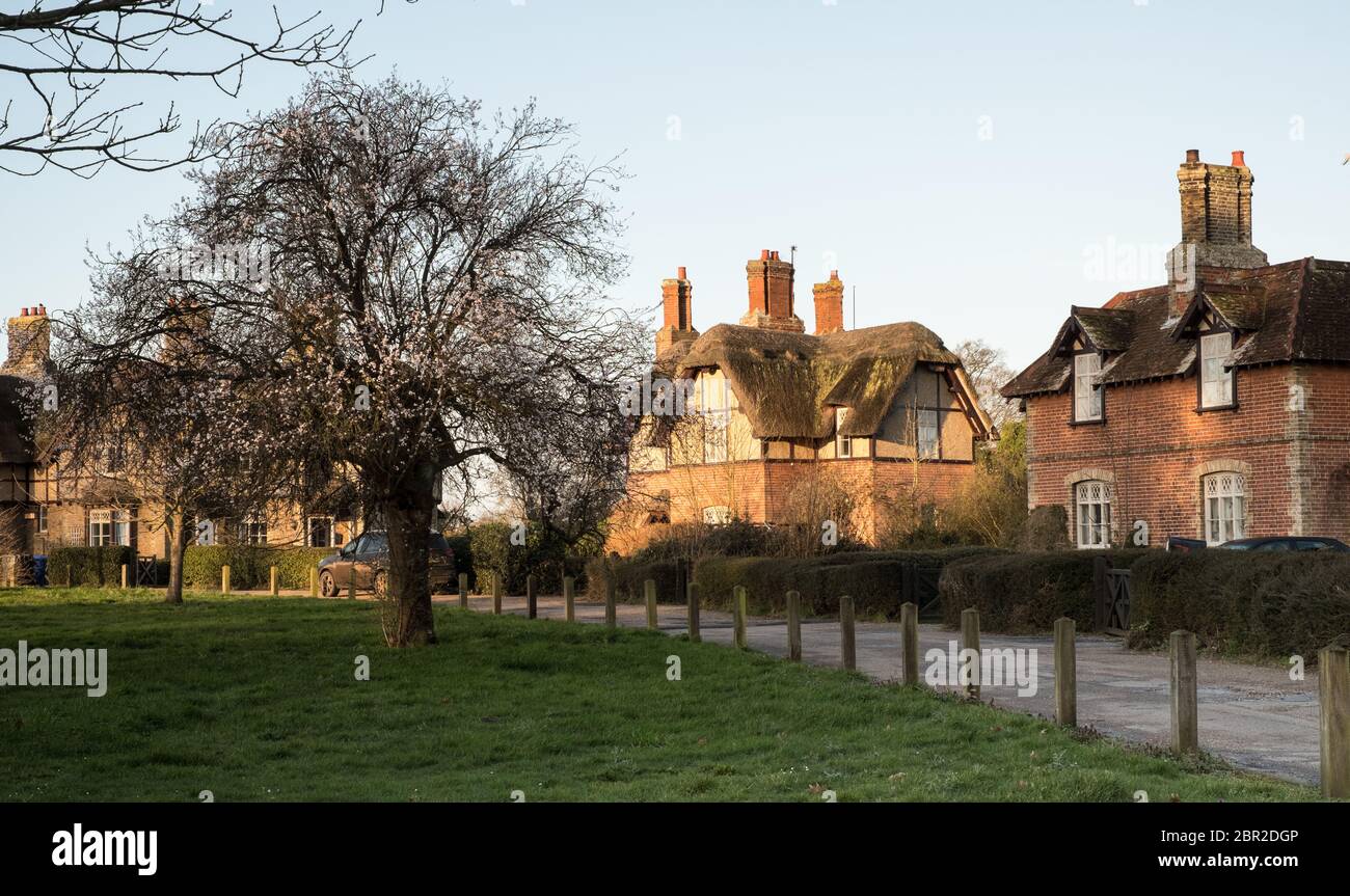 Somerleyton village de domaine vert, nord Suffolk Banque D'Images