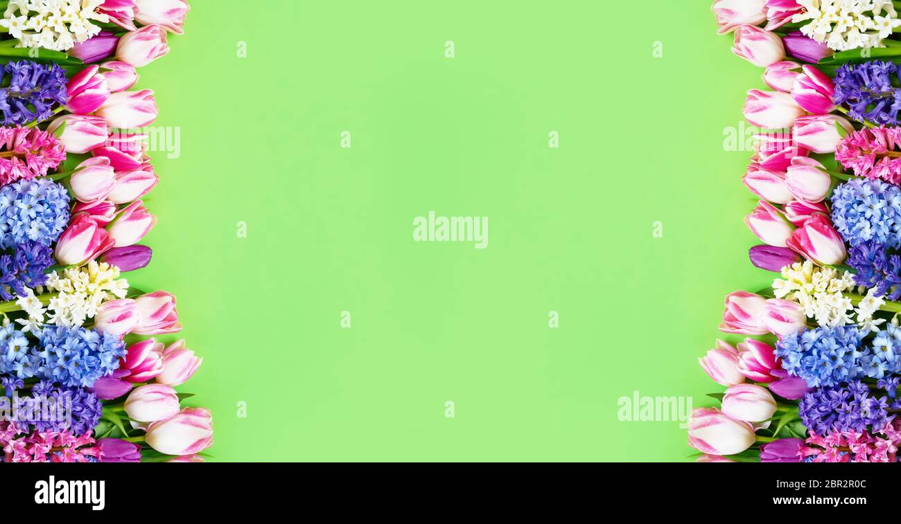 Bannière des fêtes. Bouquet de jacinthes et tulipes roses sur fond vert. Concept de la Fête des mères, anniversaire, Journée internationale de la femme, Journée de la Saint-Valentin. Banque D'Images