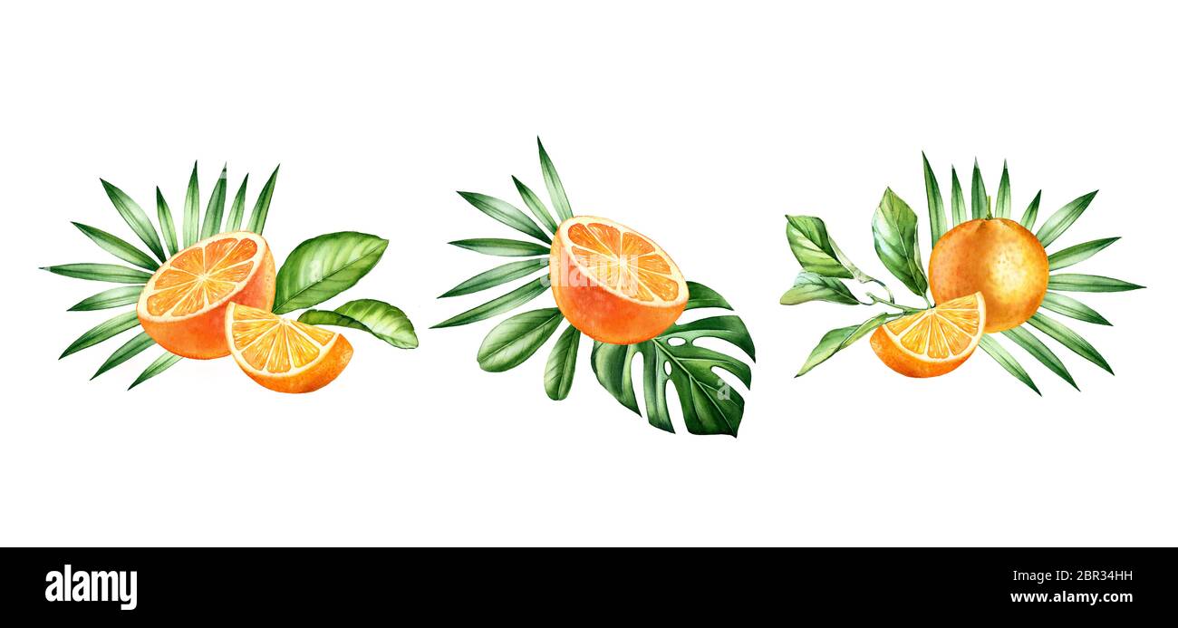 Fruits orange aquarelle. Trois dispositions. Bouquets tropicaux avec fruits et feuilles de palmier. Illustration botanique dessinée à la main isolée sur Banque D'Images