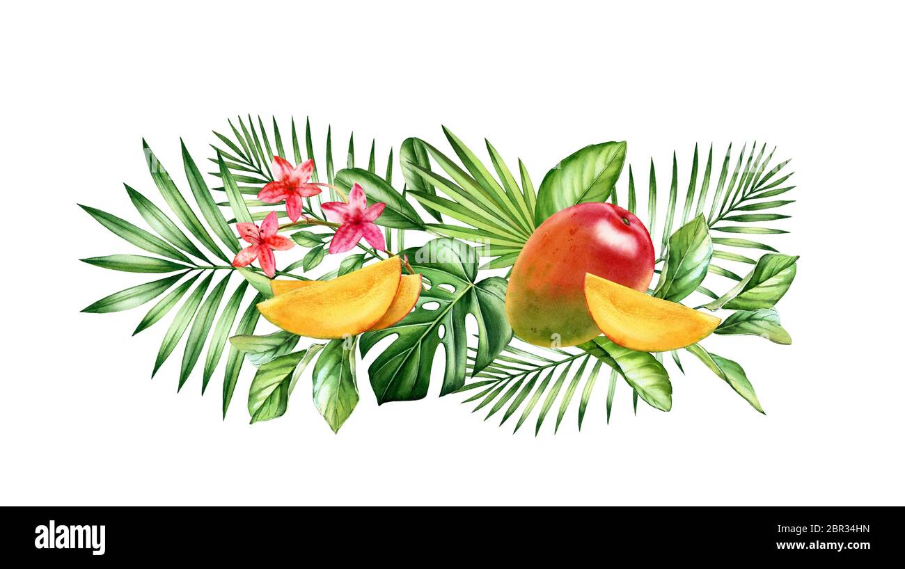Fruits de mangue aquarelle. Bordure horizontale avec fruits rouges juteux et feuilles tropicales. Illustration graphique à la main, réaliste et botanique Banque D'Images