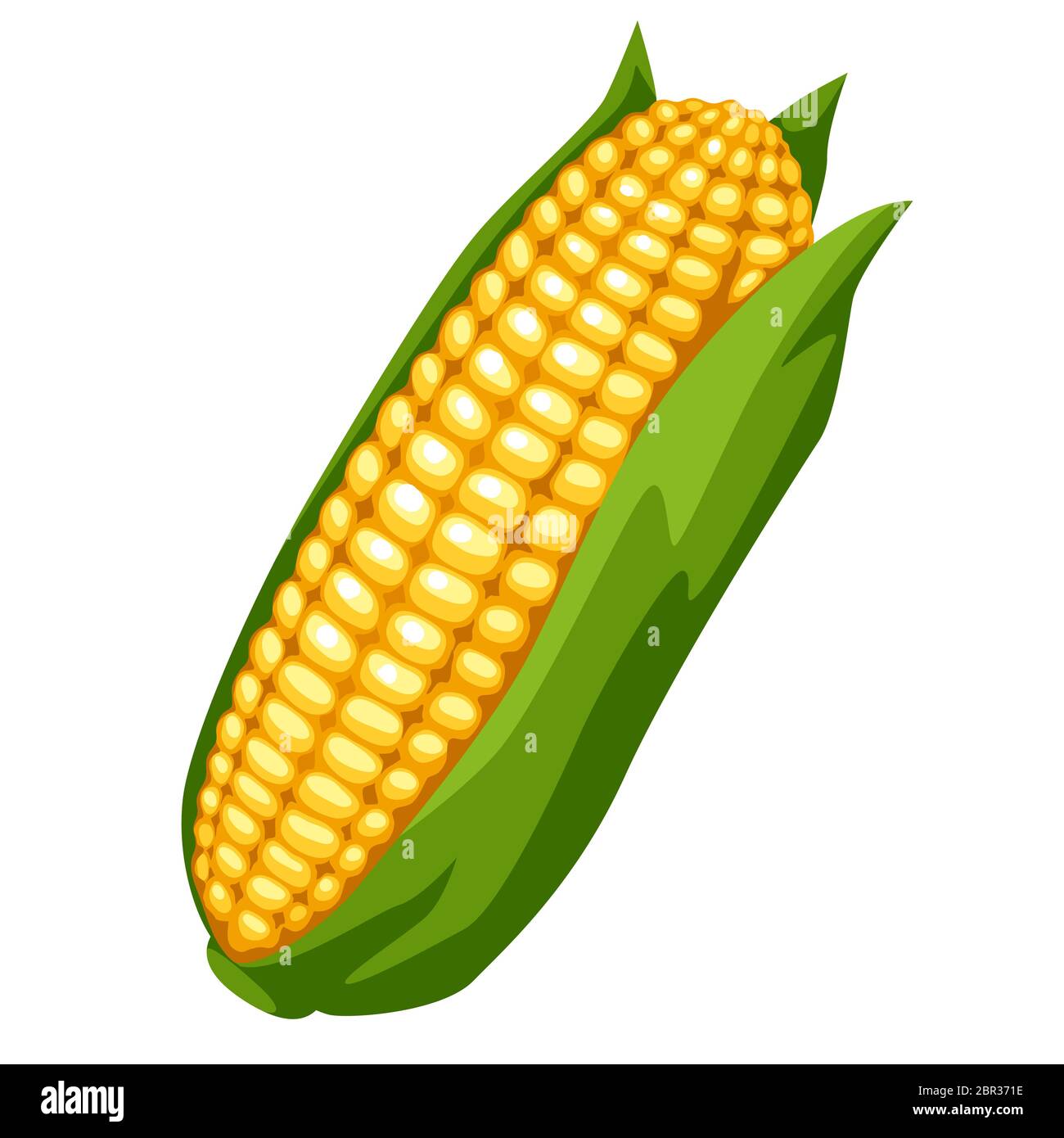 Illustration de maïs mûr doré doux. Illustration de Vecteur