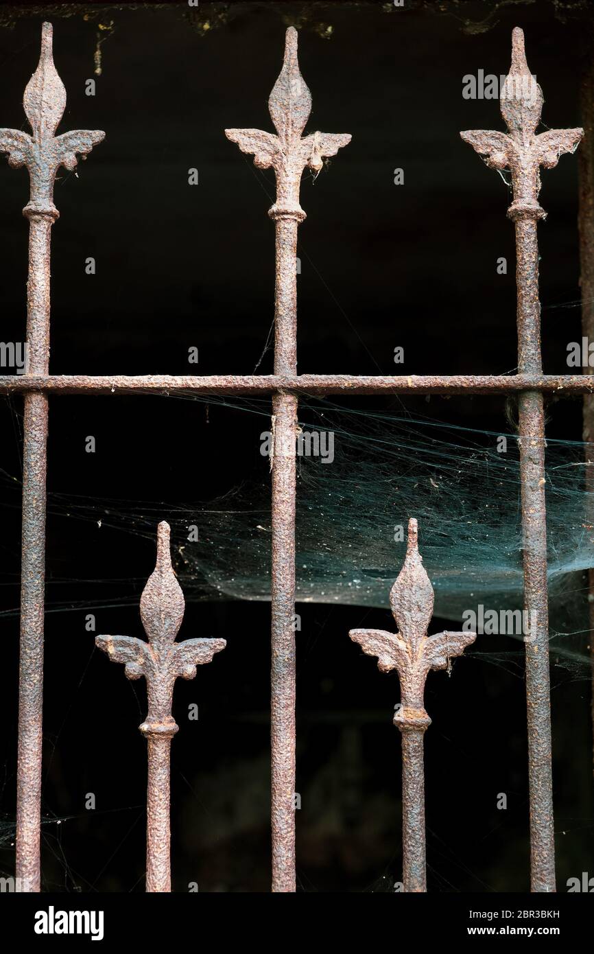 Porte avec des barres métalliques rouillées et toile d'araignée à la tombe ancienne dans la vieille nécropole Banque D'Images