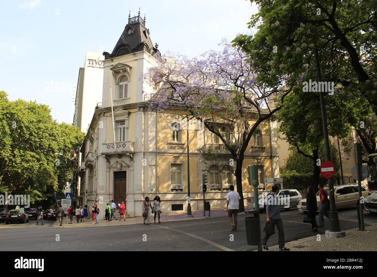Photos De Square Des Jacarandas Nice Arbre jacaranda nice Banque de photographies et d’images à haute
