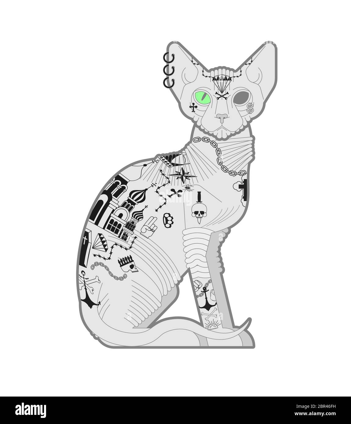 Chat Sphynx Avec Tatouage Animaux De Compagnie Intimidateurs Et Criminels Mauvais Garcon Animal Image Vectorielle Stock Alamy