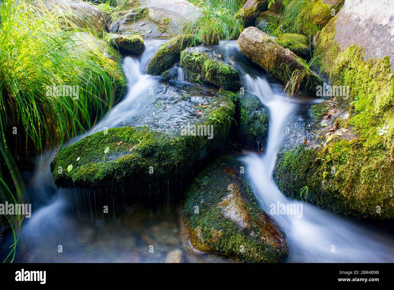 pierres avec mousse dans le ruisseau et l'eau avec effet soie Banque D'Images