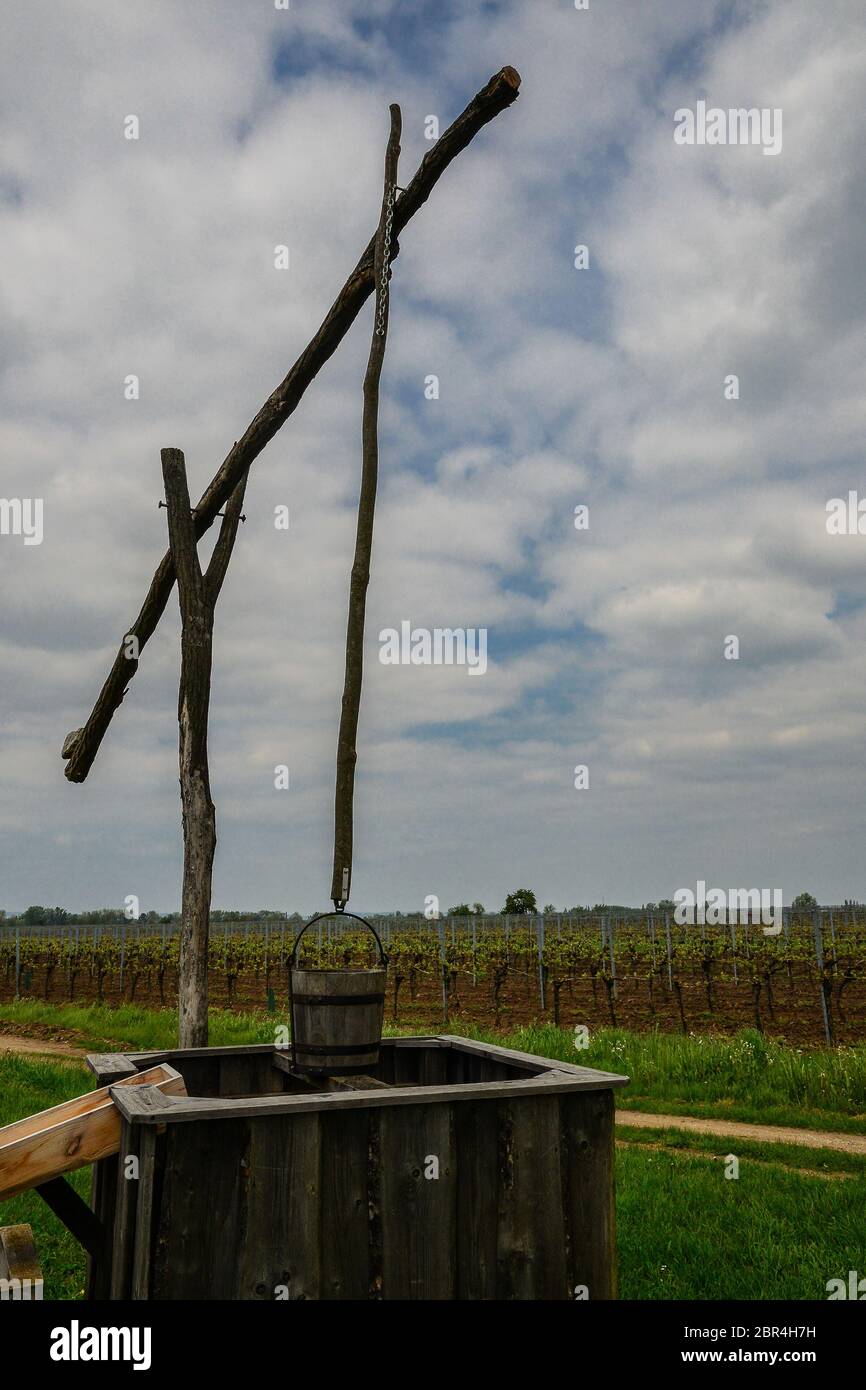 Dessiner bien et roseau cottage dans la chatzta, Parc National du Lac Neusiedl, Burgenland, Autriche Banque D'Images