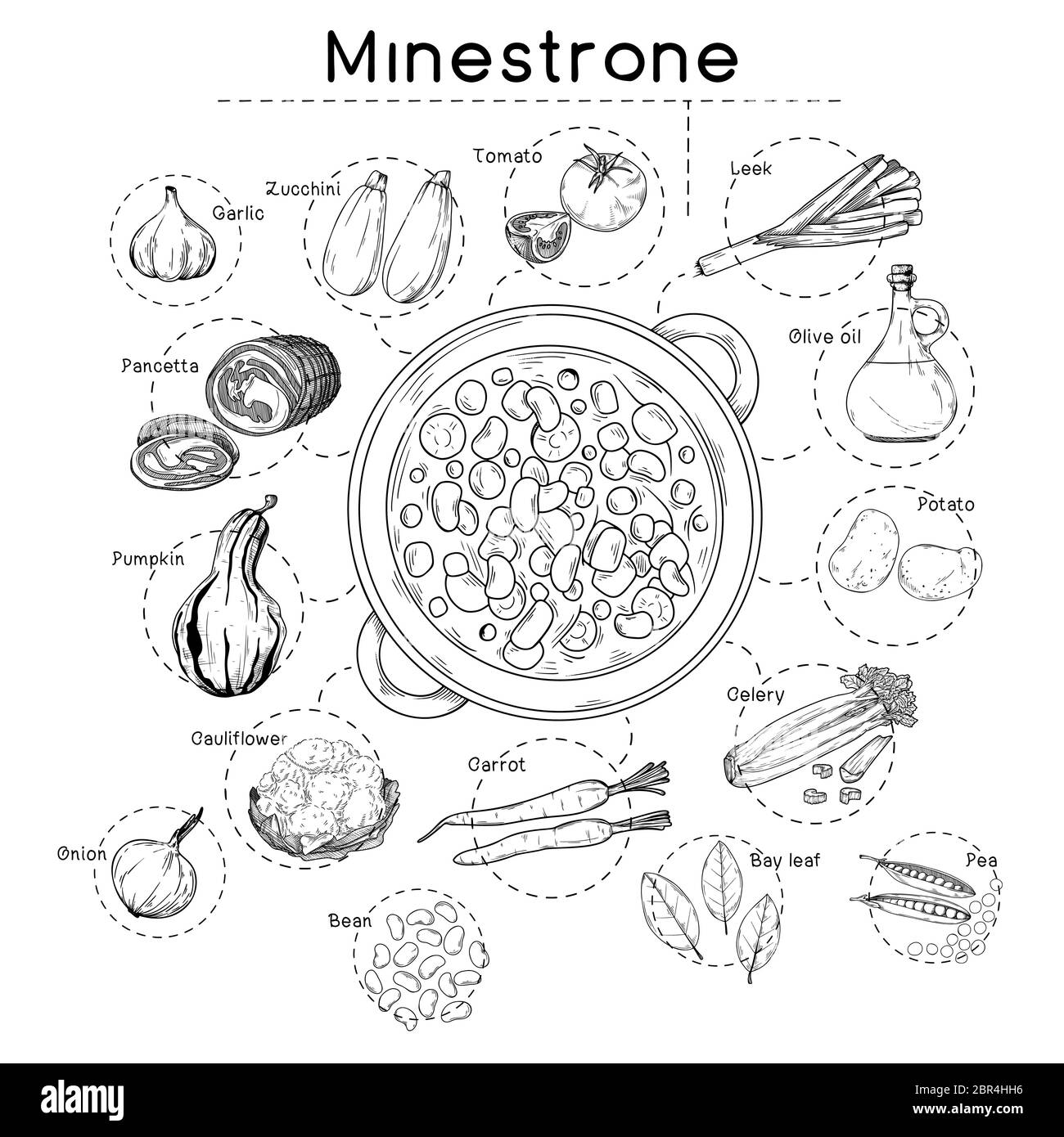 Recette de soupe italienne. Minestrone. Assiette avec soupe et différents ingrédients isolés sur fond blanc. Illustration vectorielle Illustration de Vecteur