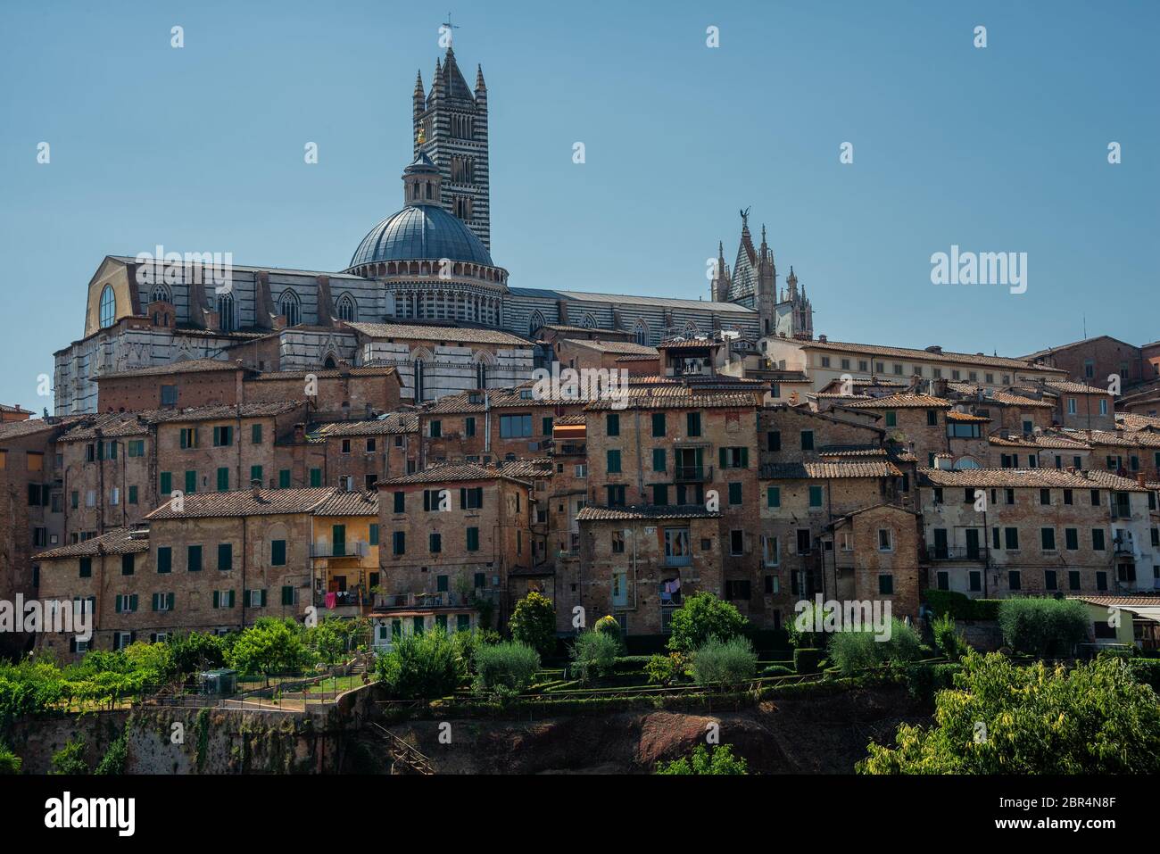 Cathédrale de Sienne Santa Maria Assunta (Duomo di Siena) à Sienne, Toscane, Italie Banque D'Images