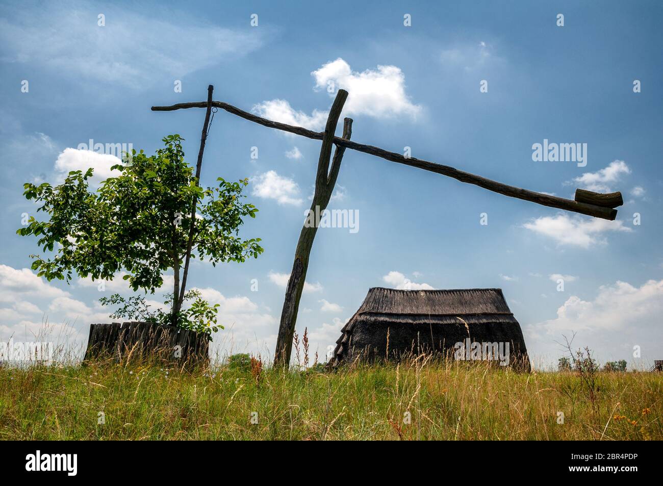 Dessiner bien et roseau cottage dans la chatzta, Parc National du Lac Neusiedl, Burgenland, Autriche Banque D'Images