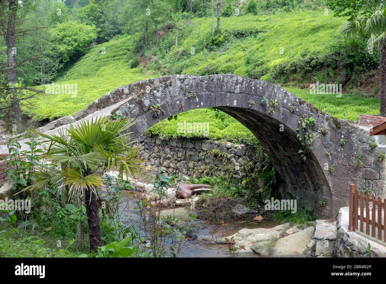 un vieux pont en pierre dans le district iyidere de la province de rize Banque D'Images