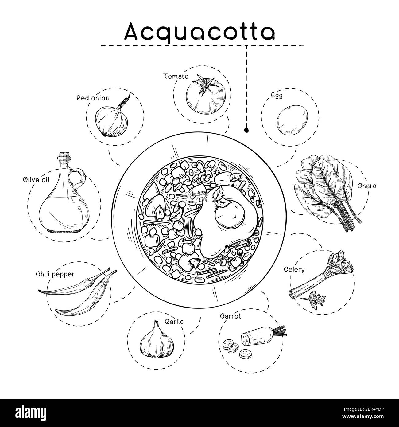 Recette de soupe de la cuisine italienne. La plaque avec de la soupe et des différents ingrédients isolé sur un fond blanc. Vector illustration Illustration de Vecteur