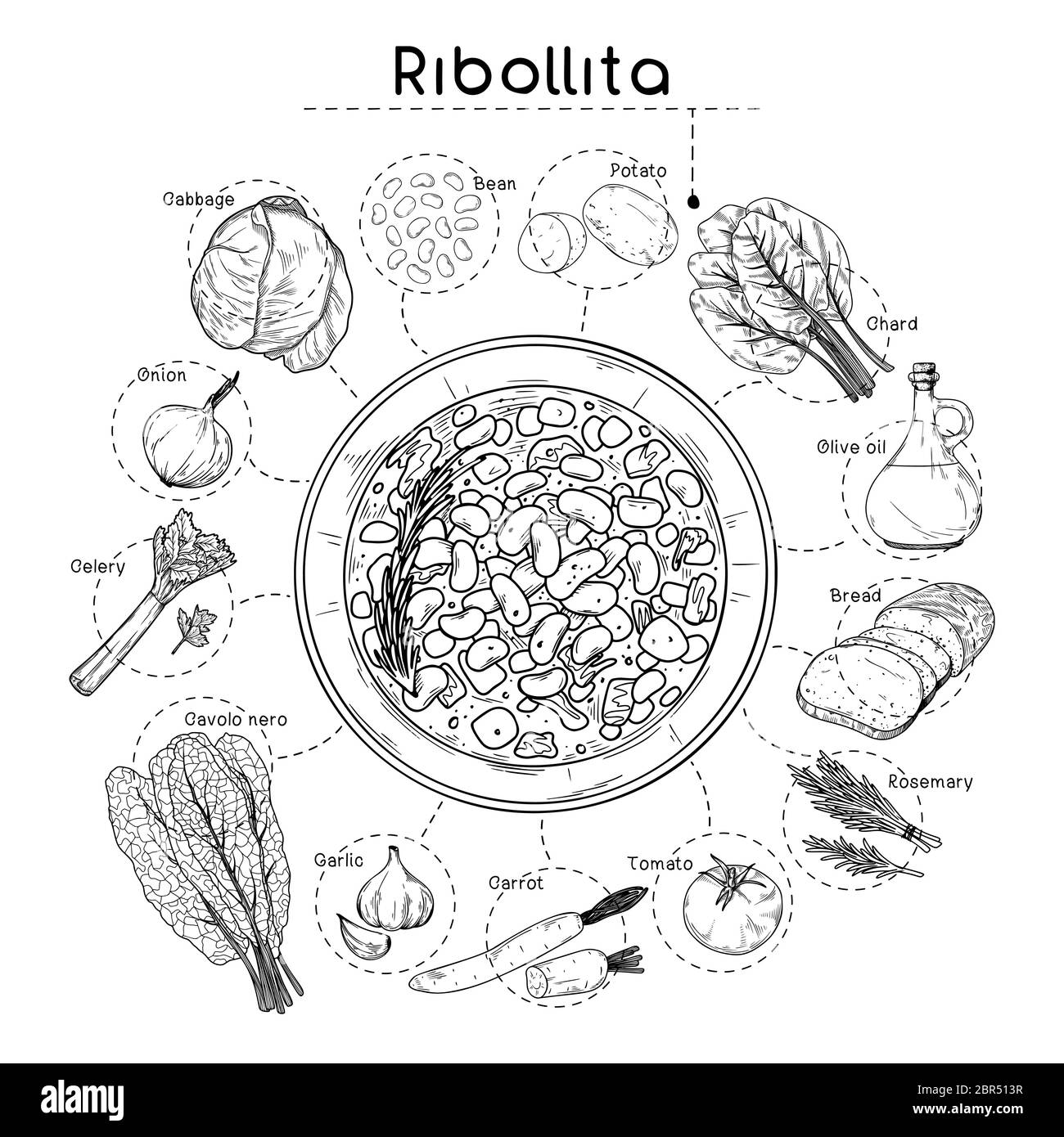 Recette de soupe italienne. Ribollita. Assiette avec soupe et différents ingrédients isolés sur fond blanc. Illustration vectorielle Illustration de Vecteur