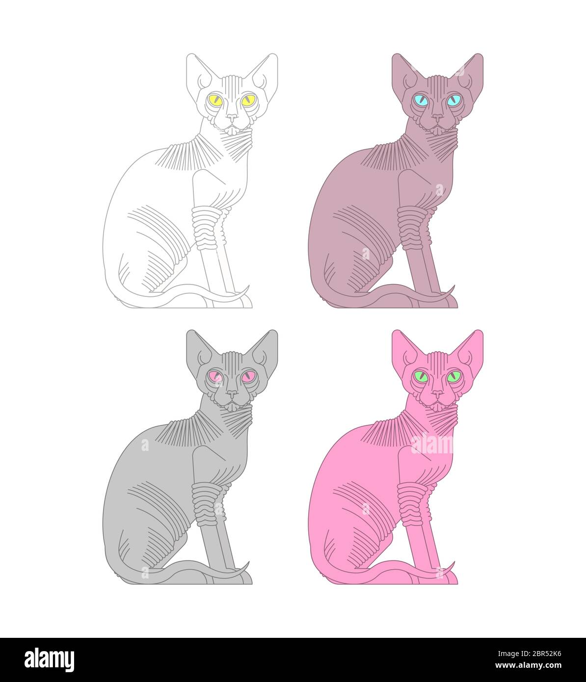 Sphynx ensemble. Races de chats sans poils. Illustration du vecteur PET Illustration de Vecteur