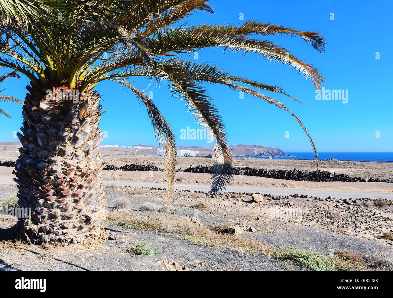 Paysages bruns de la ville de Costa Teguise, Lanzarote, sélectif Banque D'Images