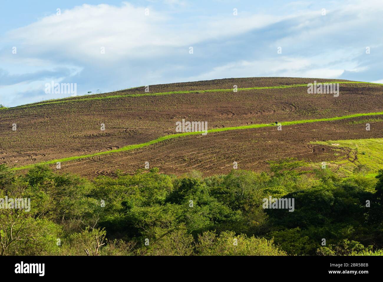 Paysage agricole labouré à flanc de colline Banque D'Images