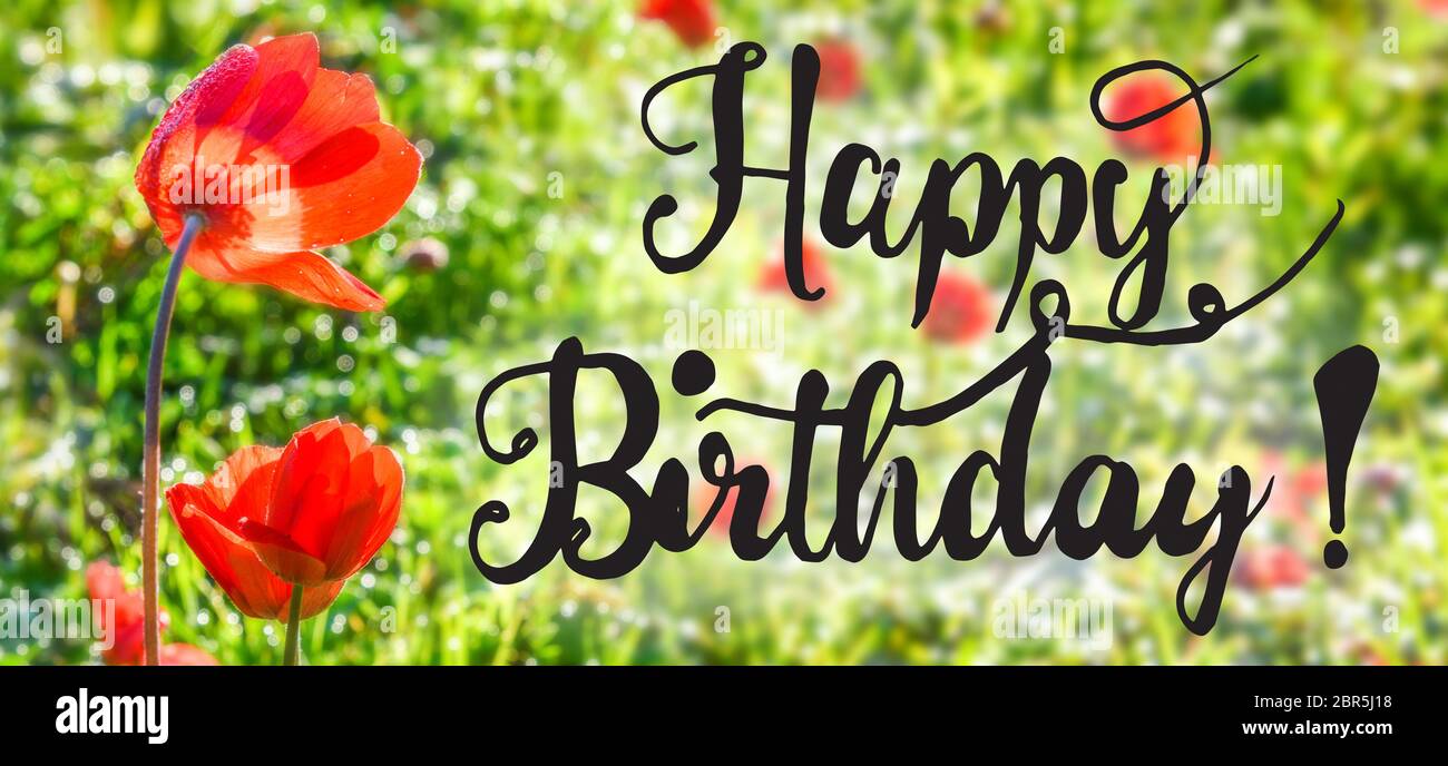 Joyeux Anniversaire Calligraphie Anglaise Rouge Coquelicot Prairie Carte De Vœux De La Saison Du Printemps Ensoleille Photo Stock Alamy Joyeux Anniversaire Calligraphie Anglaise Rouge Coquelicot Prairie Carte De Vœux De La Saison Du Printemps Ensoleille Photo Stock Alamy