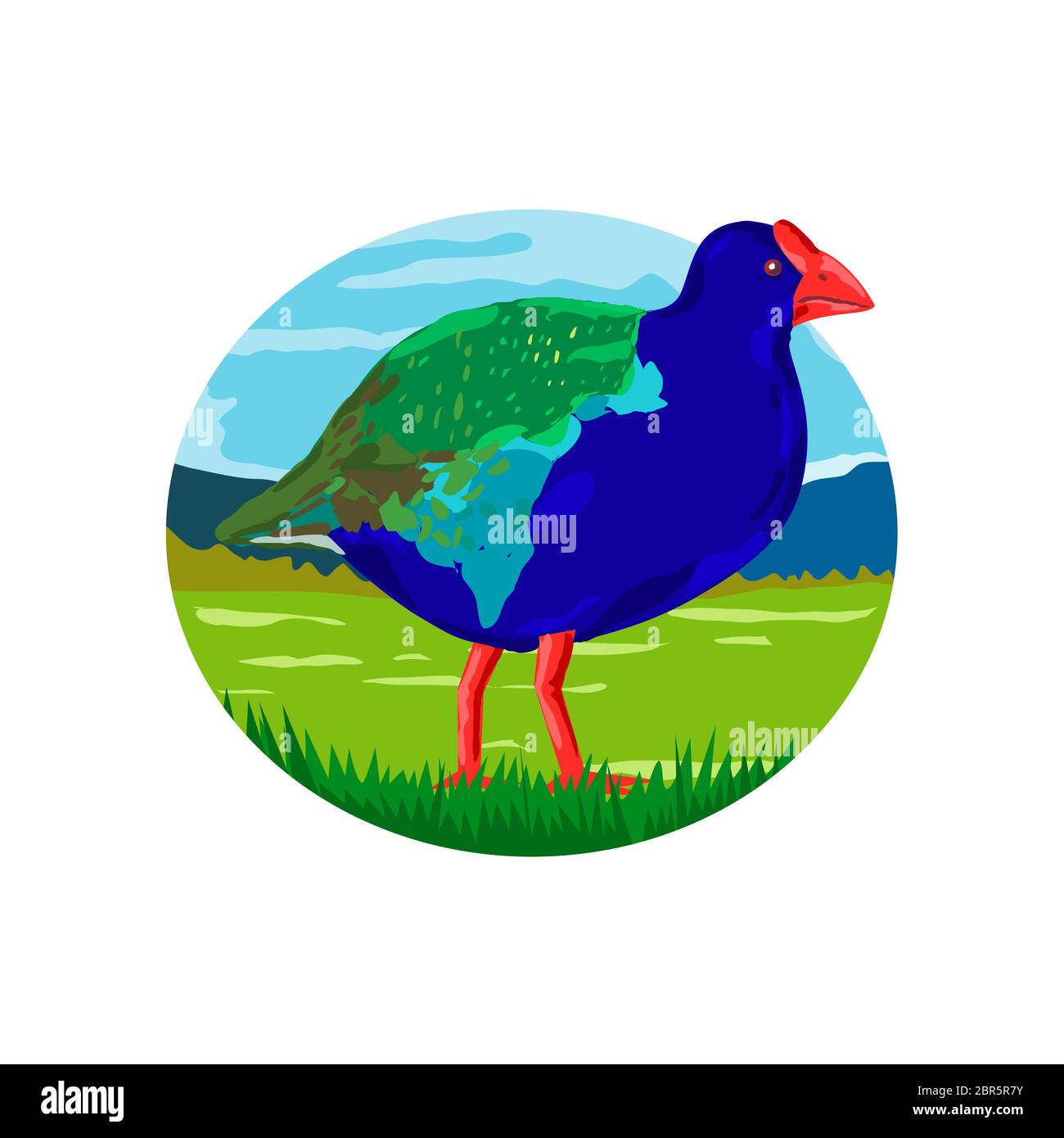 Illustration d'un style rétro, l'île du Sud Talève takahé Talève takahé ou notornis, un oiseau indigène de Nouvelle Zélande dans le pré avec montagnes vi Banque D'Images