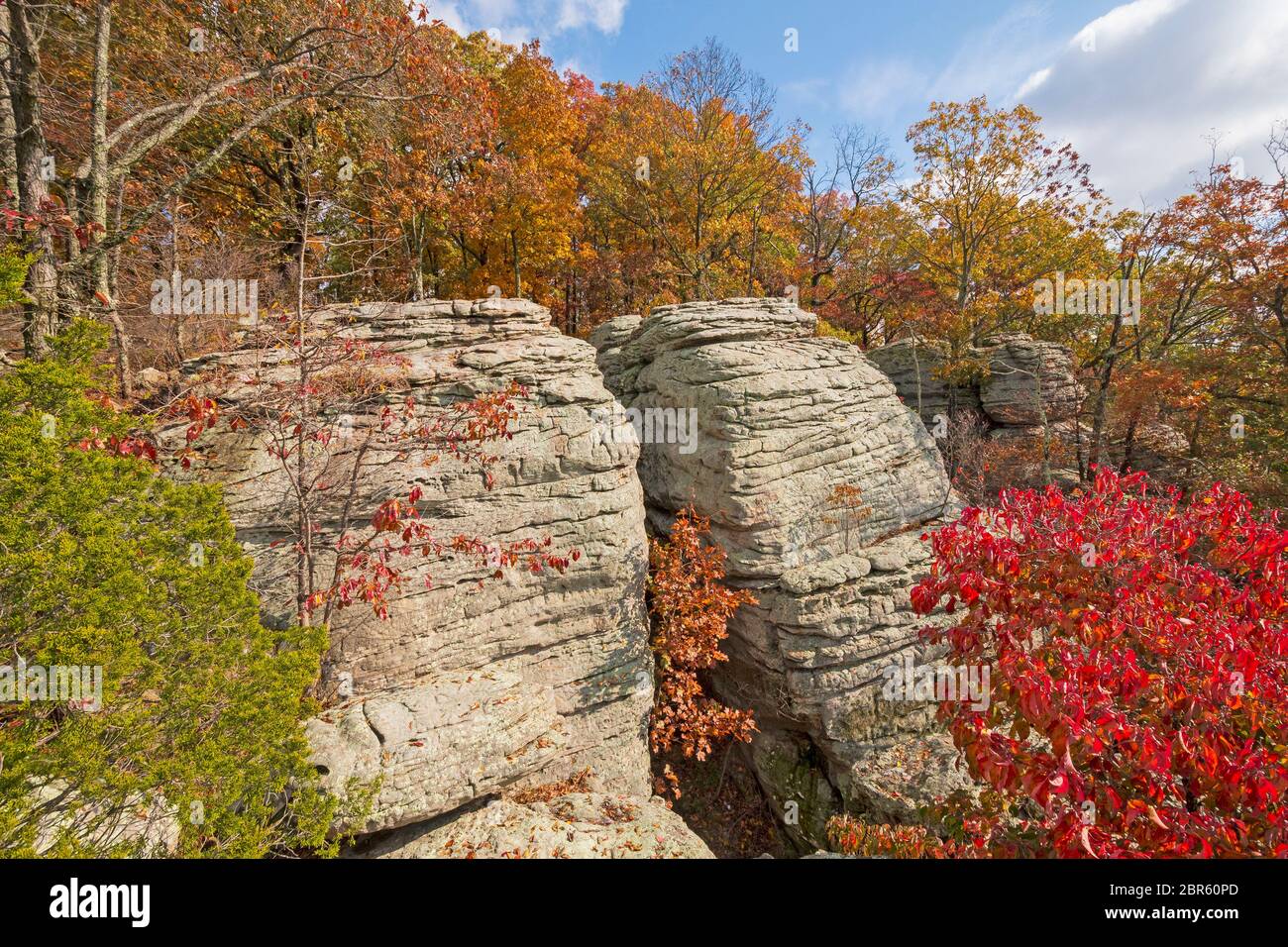 Un promontoire rocheux niché dans la forêt d'automne on Indian Point dans le Jardin des Dieux à Shawnee National Forest dans le sud de l'Illinois Banque D'Images