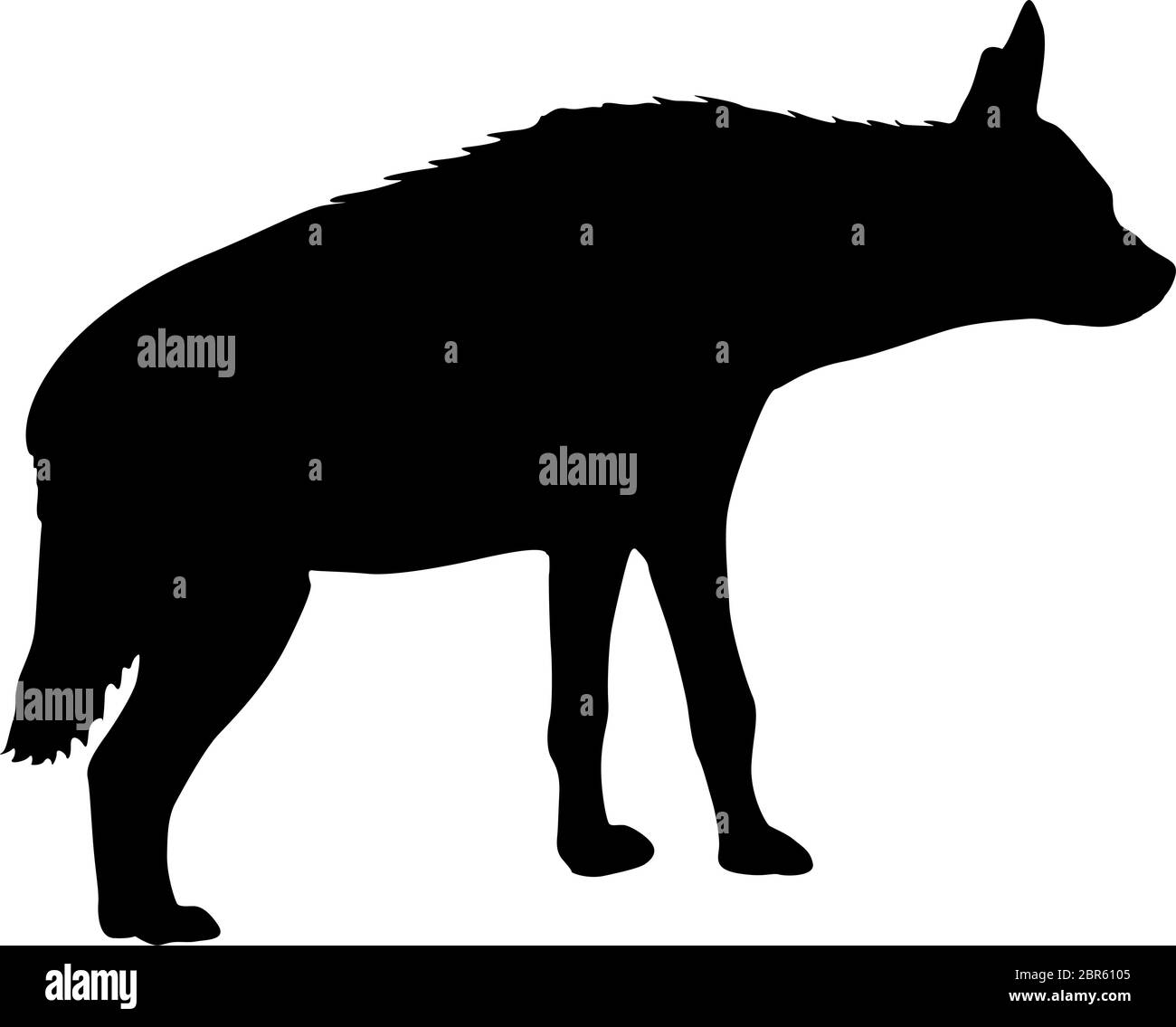 Silhouette de la hyène en pot sur fond blanc. Illustration de Vecteur