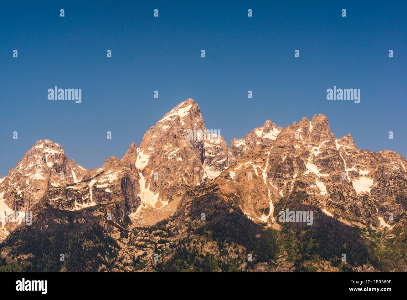Grand teton avec feild en été, Wyoming, usa. Banque D'Images