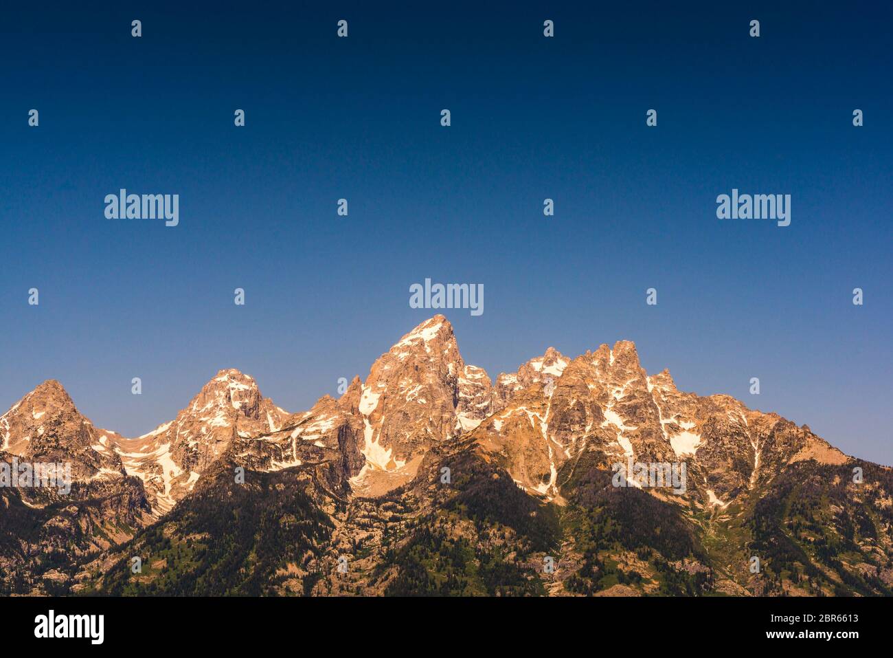 Grand teton avec feild en été, Wyoming, usa. Banque D'Images
