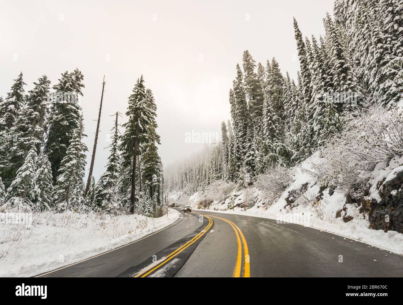 vue panoramique sur la route dans la forêt avec neige couverte. Banque D'Images