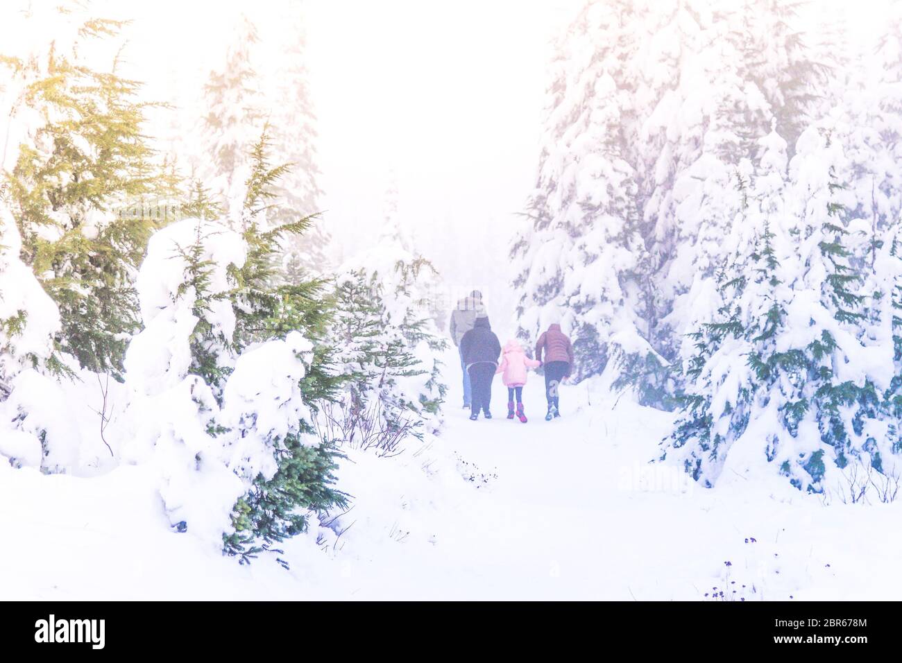 promenade en famille dans la forêt enneigée en vacances. Banque D'Images