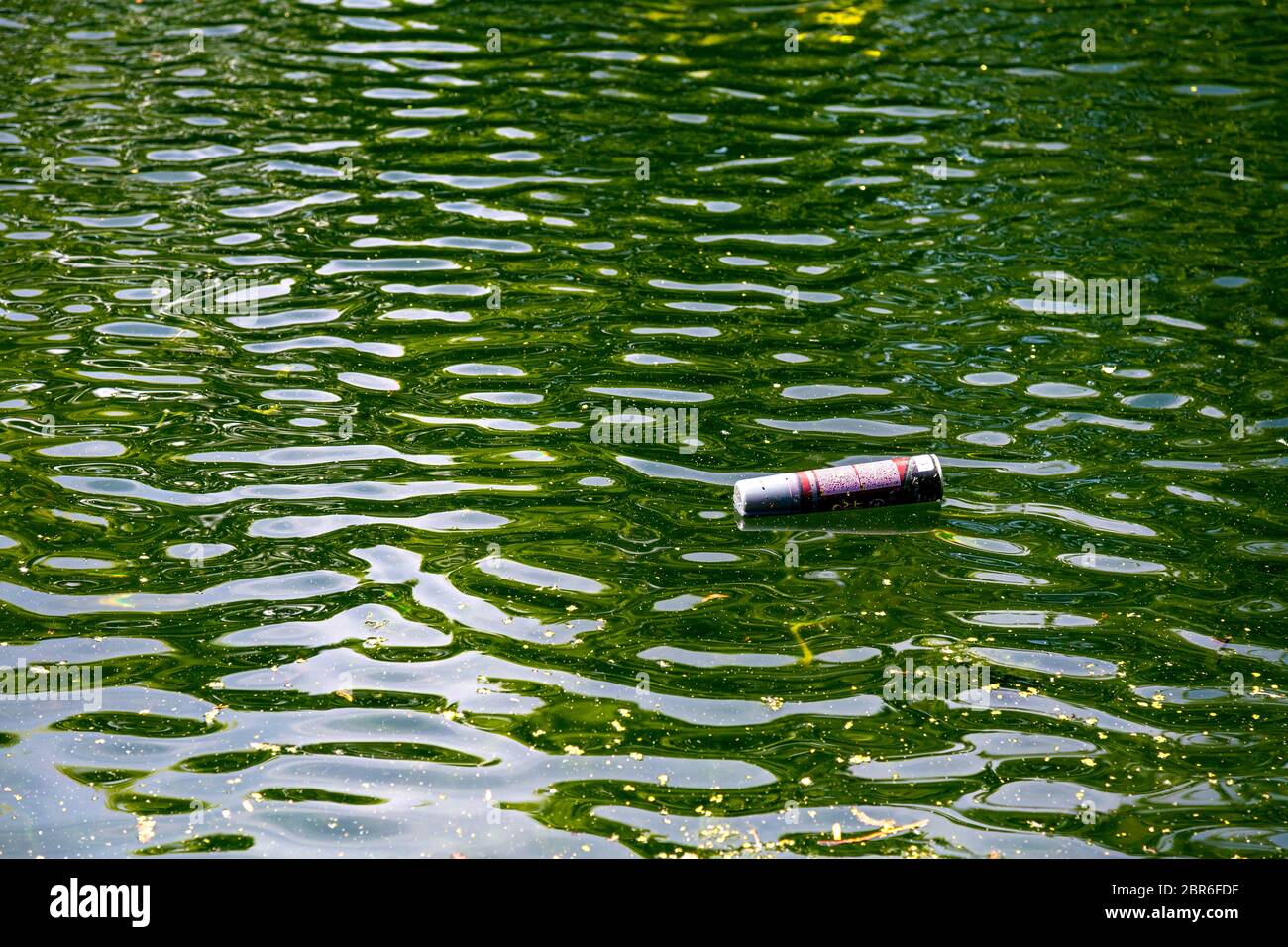 Des déchets flottant dans Regents Canal, TowerHamlets, Londres, Royaume-Uni Banque D'Images