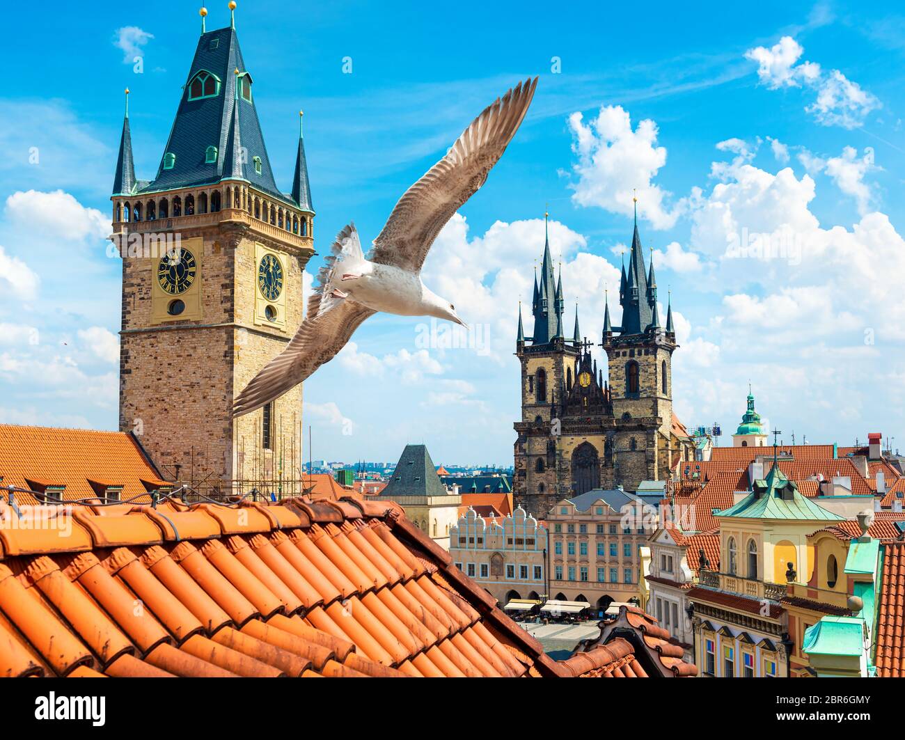 Mouettes sur Prague et carillons Tynsky cathédrale au jour d'été Banque D'Images