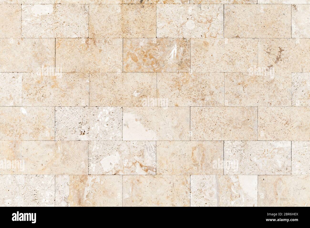 Mur de pierre en calcaire de shelly, c'est un calcaire fortement fossilifère, composé d'un certain nombre d'organismes fossilisés. Texture d'arrière-plan, face v Banque D'Images