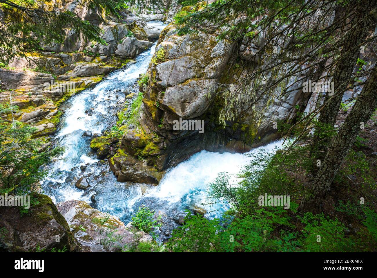 Chute d'eau dans la région de Cristian Fall, scène dans mt.Rainier National Park, Wa, USA Banque D'Images
