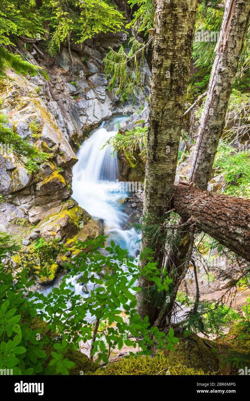 Chute d'eau dans la région de Cristian Fall, scène dans mt.Rainier National Park, Wa, USA Banque D'Images