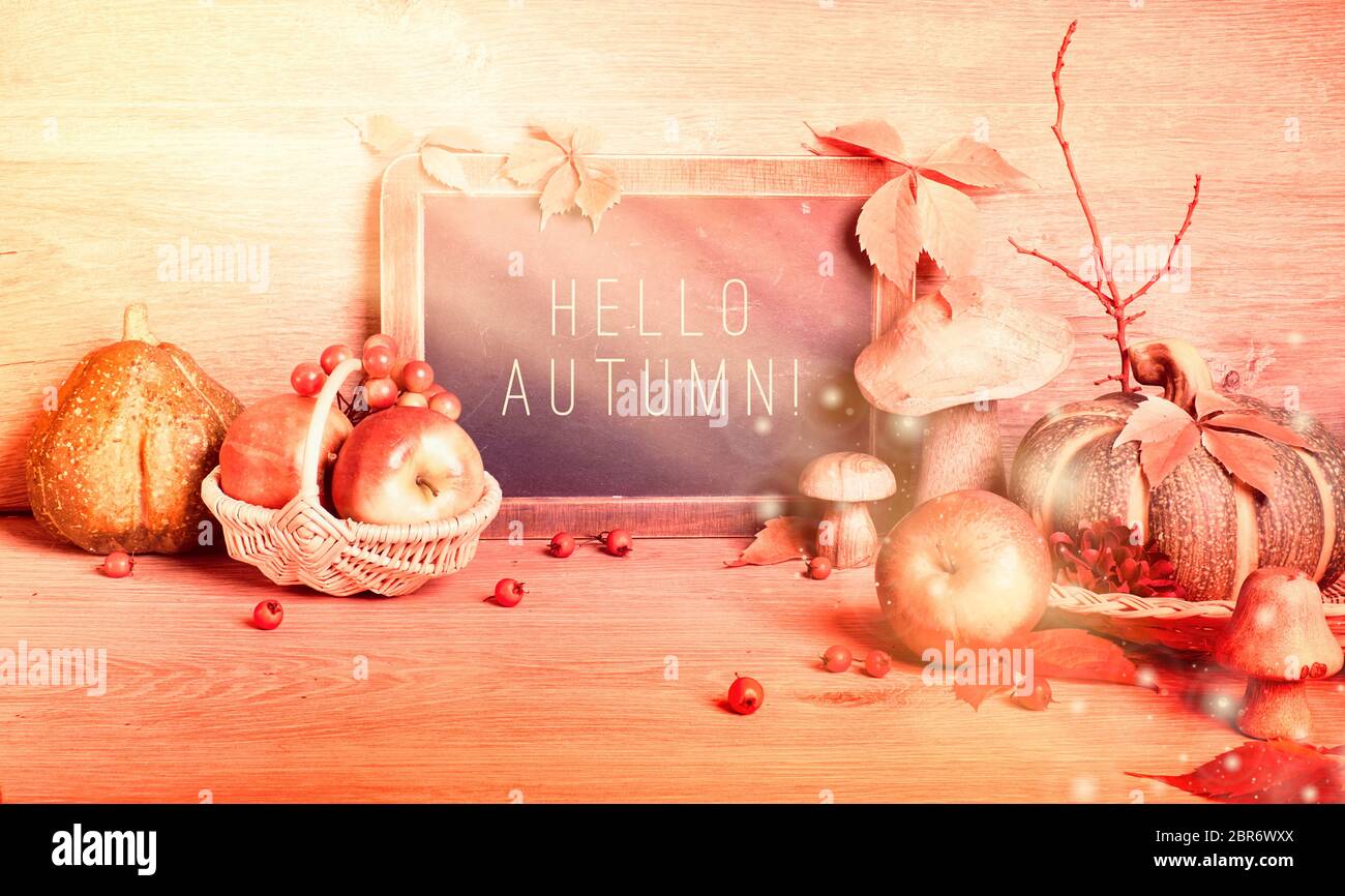 Texte « Hello Autumn » sur tableau noir. Décorations traditionnelles d'automne, image panoramique teintée. Couronne d'automne avec baies, champignons, citrouilles, fleurs sur le WO Banque D'Images