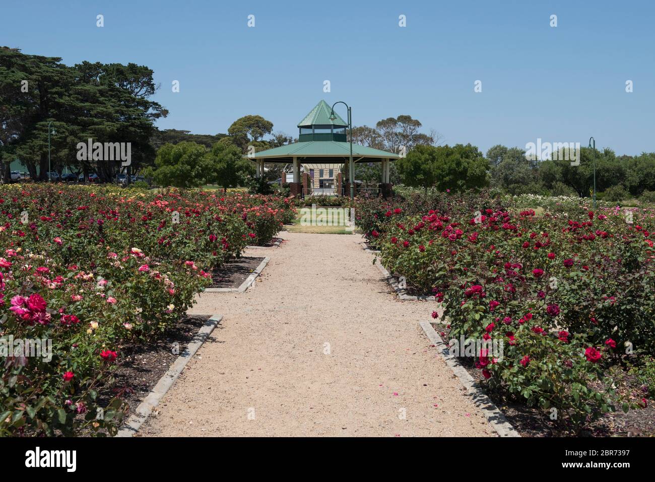 Jardins botaniques de Mornington, Mornington, Victoria, Australie Banque D'Images