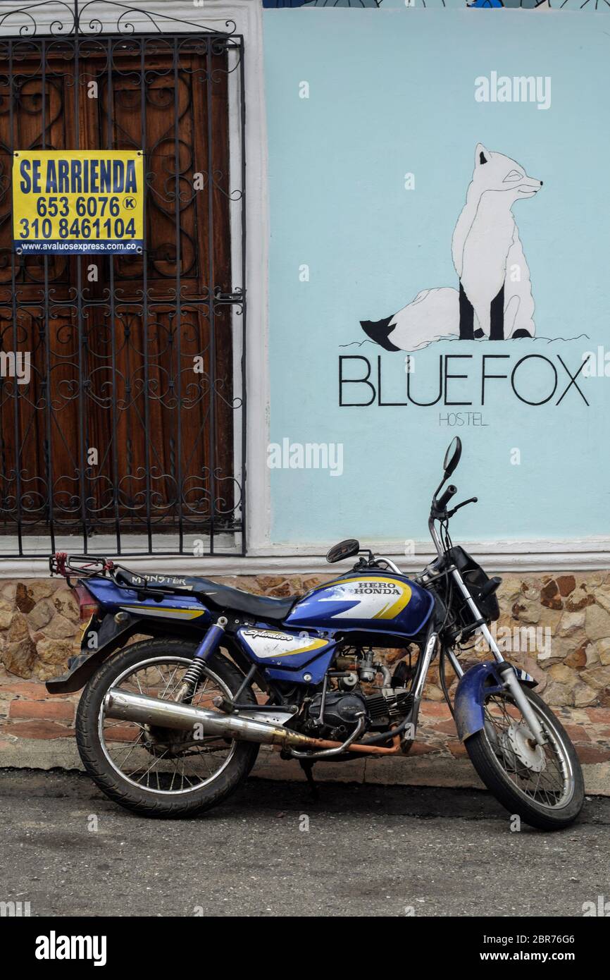 Bluefox hostal à louer dans le quartier touristique de San Antonio, Cali, Colombie Banque D'Images