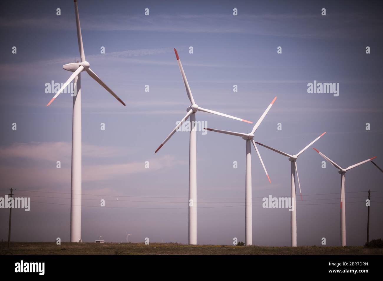 Image en couleur de quelques moulins à vent sur un pré, contre un ciel bleu. Banque D'Images
