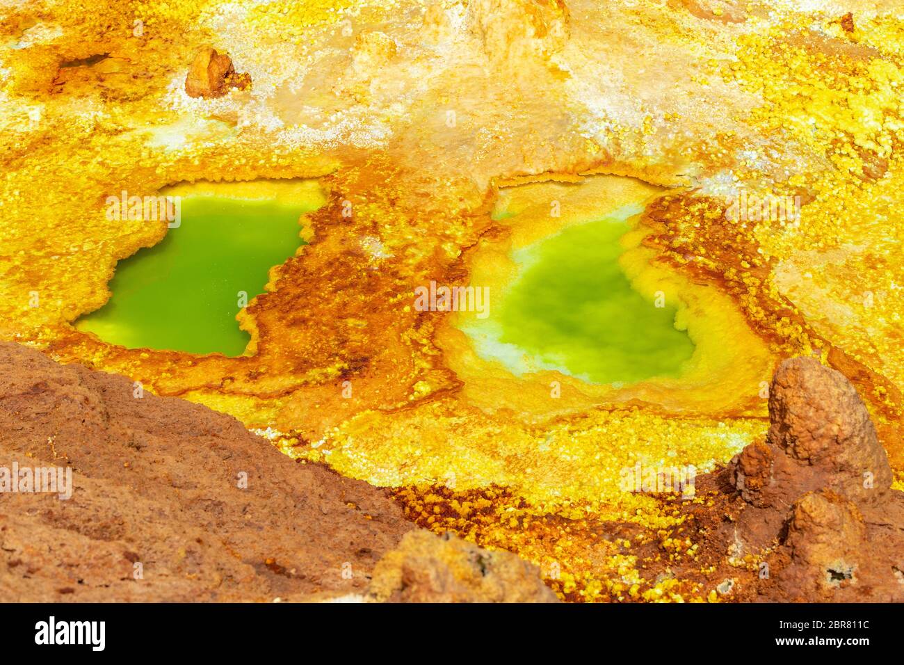 Beaux petits lacs de soufre et de l'Ethiopie. Dallol La dépression Danakil est le meilleur endroit sur Terre en termes de température moyenne toute l'année. C'est SLA Banque D'Images