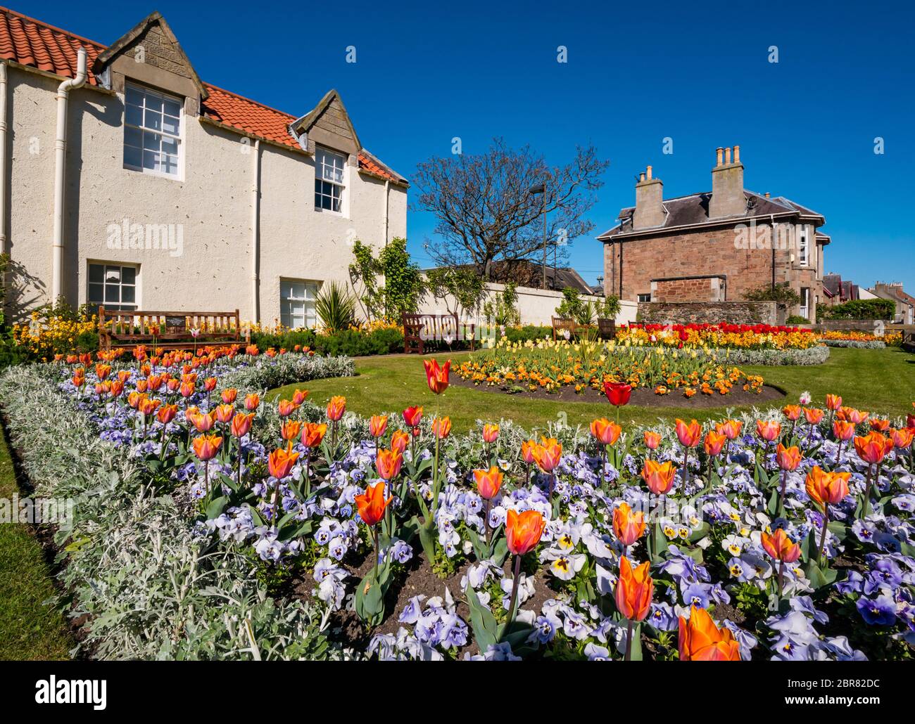 Coloré printemps fleurs dans le jardin de guerre mémorial avec des bancs vides pendant le confinement de la pandémie Covid, North Berwick, East Lothian, Écosse, Royaume-Uni Banque D'Images