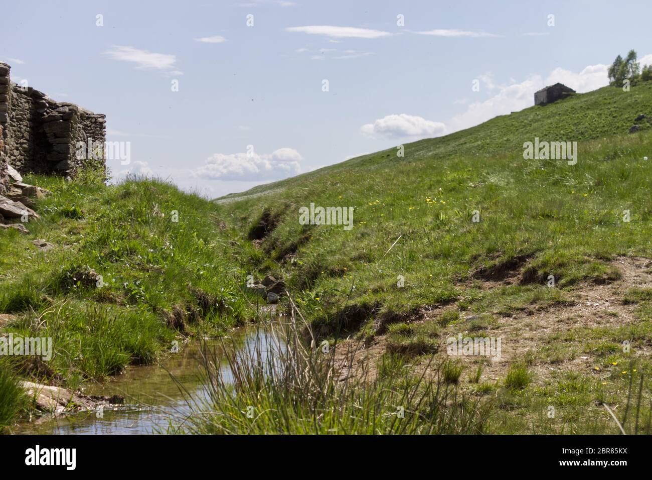 Un ruisseau traverse les pâturages de montagne sur les Alpes italiennes Banque D'Images