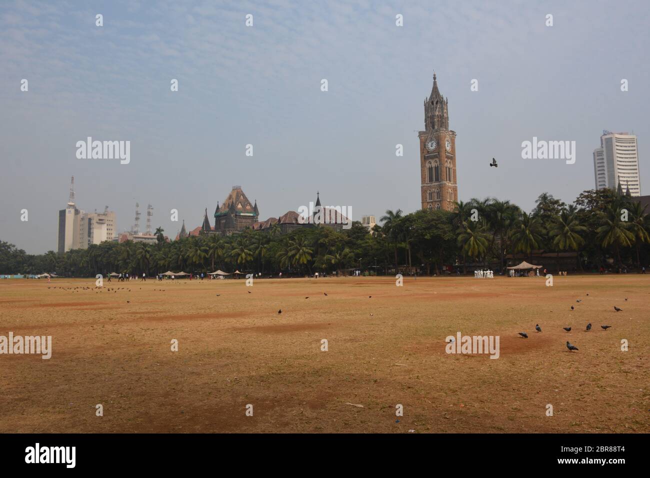 Un jeu de cricket très anglais a lieu sur l'Oval Maidan, tracté par la tour de l'horloge du Rajabai, 'le Big Ben de l'Inde', terminé en 1878 . Banque D'Images