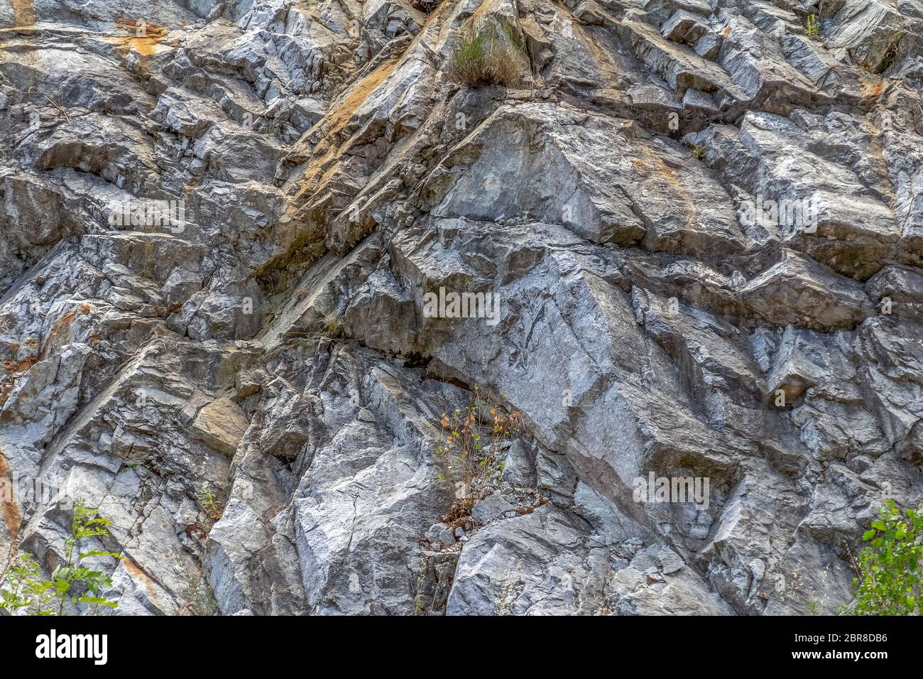 Rock face détail dans la Camargue, une région naturelle du sud de la France Banque D'Images