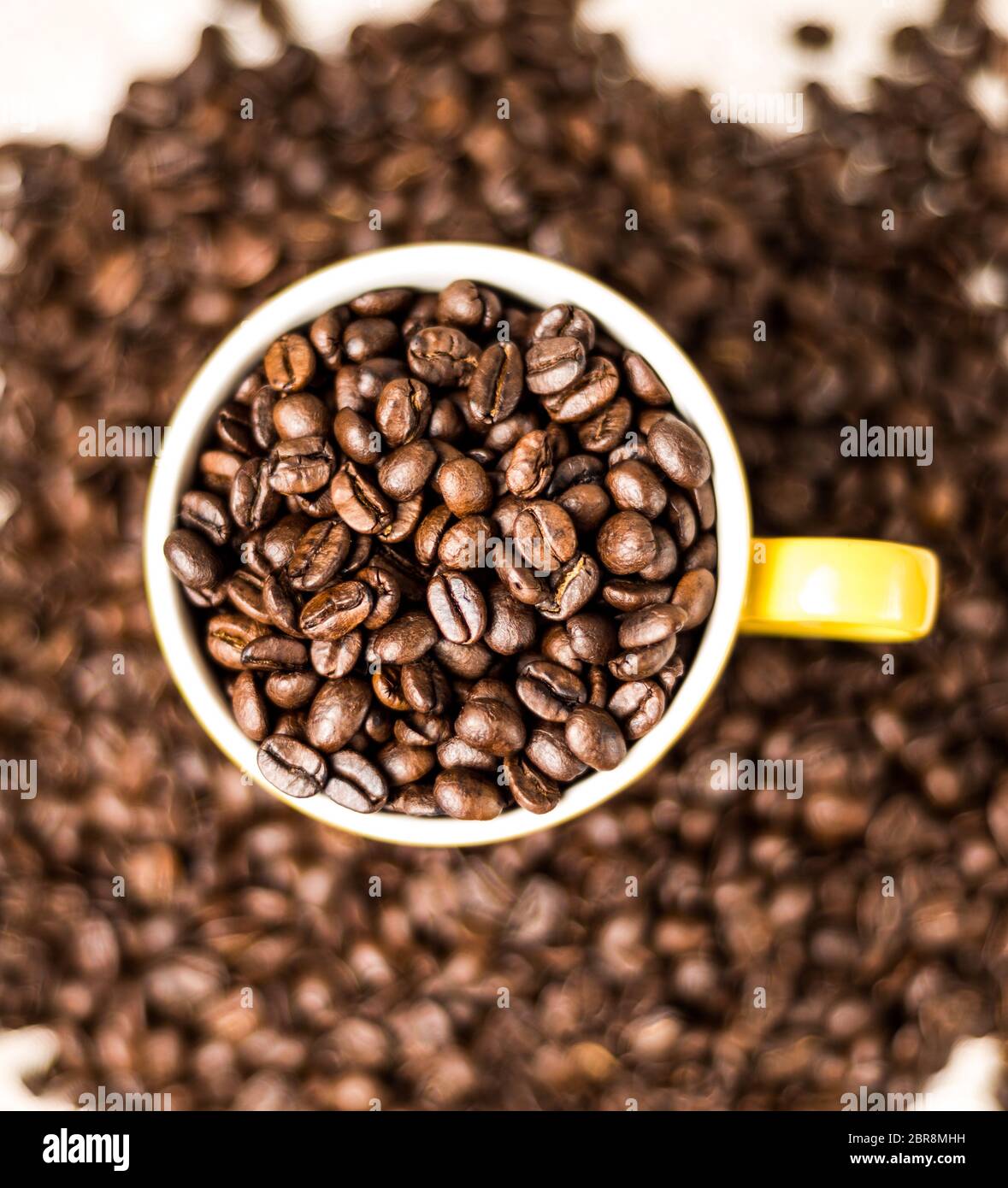 Grains de café torréfiés brun, graines sur fond sombre. Espresso sombre, arôme, boisson noire à la caféine. Gros plan énergie isolée moka, ingrédient cappuccino. Banque D'Images