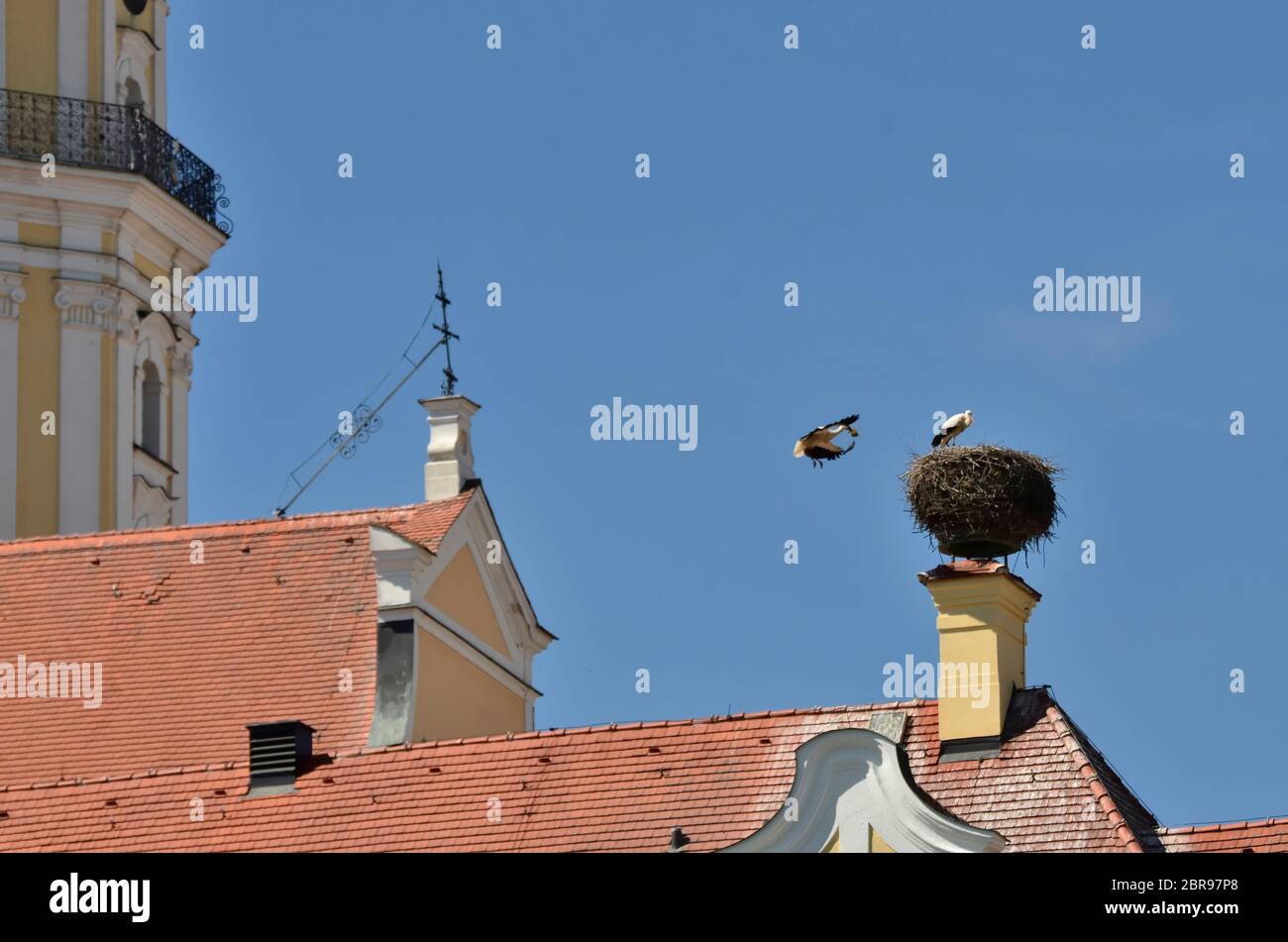 Storch mit Futter im Anflug zum Nest, Donauwörth Banque D'Images