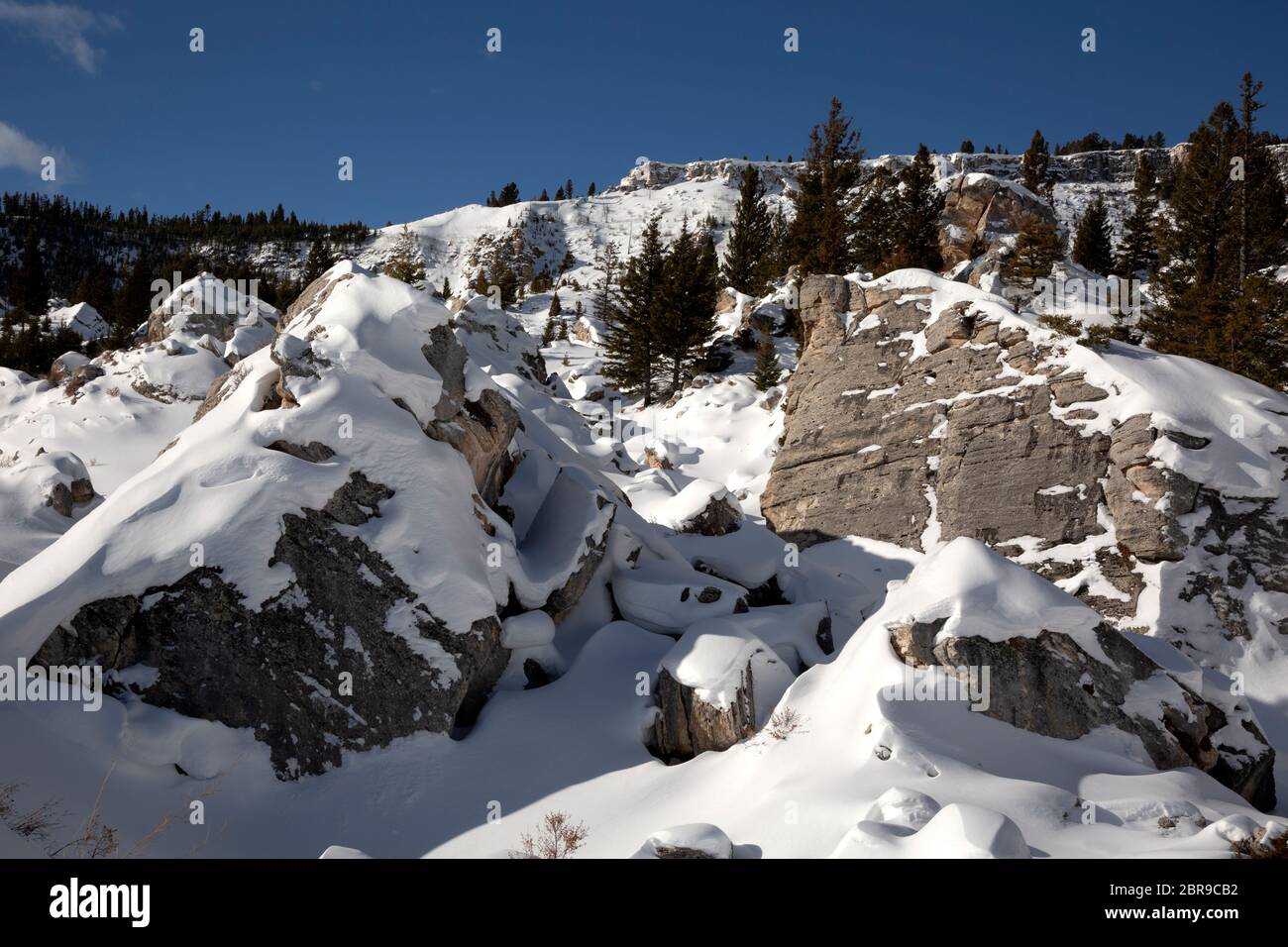 WY04501-00...WYOMING - de grands blocs de travertin qui ont glissé sur les côtés de Terrace Mountain, connu sous le nom de Hoodoos, partiellement couvert de sn Banque D'Images