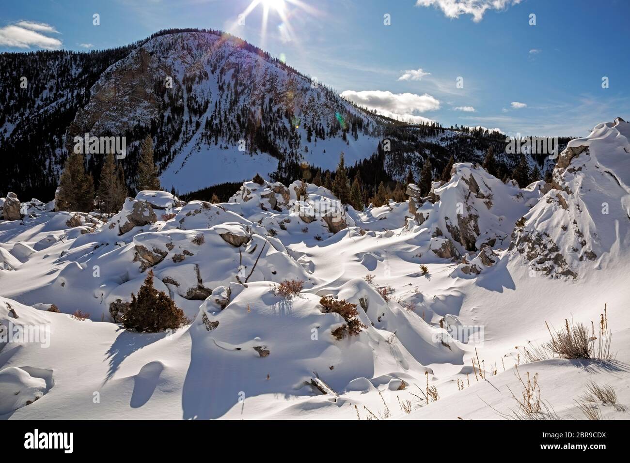 WY04502-00...WYOMING - de grands blocs de travertin qui ont glissé sur les côtés de Terrace Mountain, connu sous le nom de Hoodoos, partiellement couvert de sn Banque D'Images