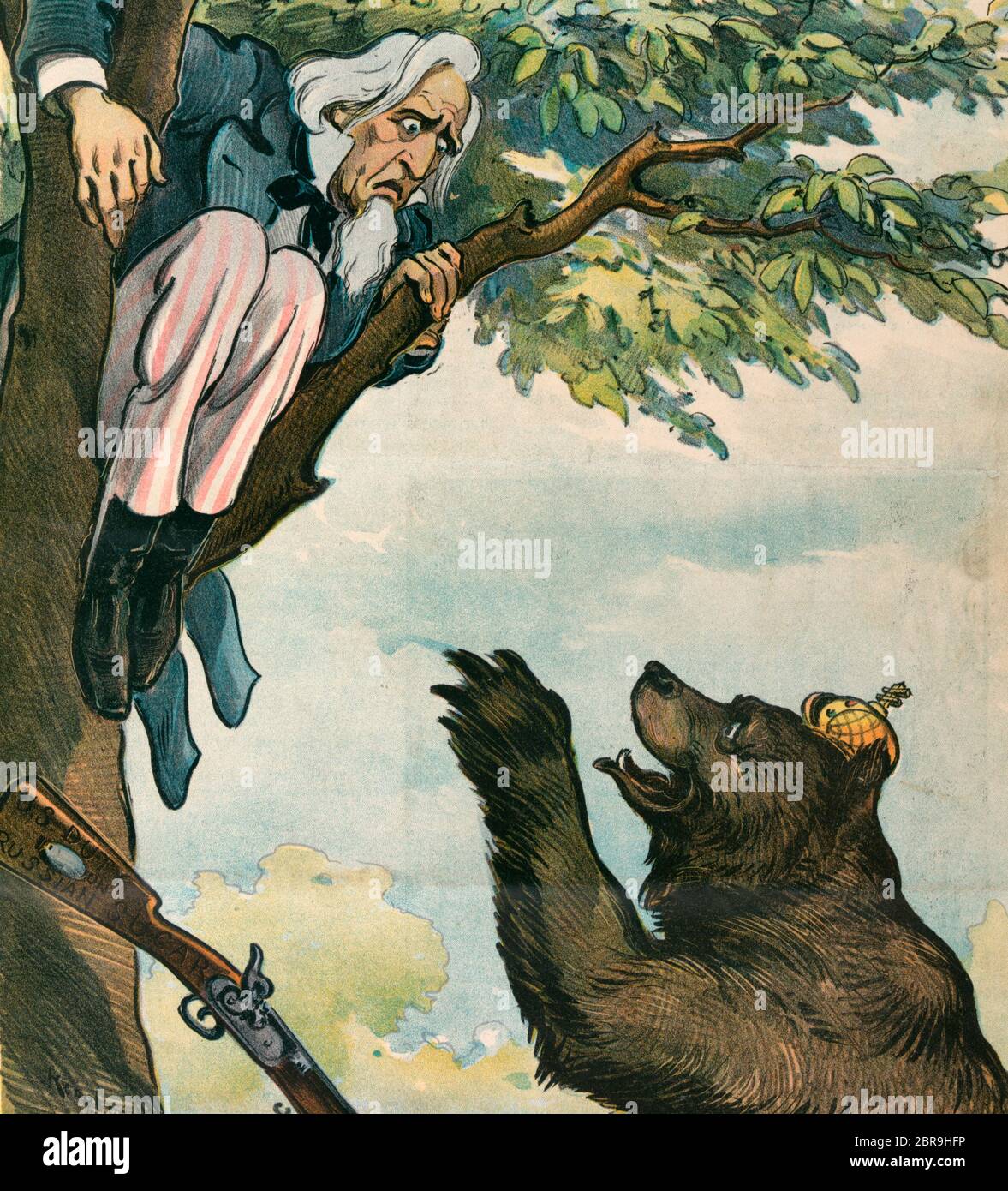 Comme la guerre tarifaire doit se terminer - l'illustration montre l'oncle Sam dans un arbre, chassé là par l'ours russe qui se tient à la base de l'arbre; l'oncle Sam a laissé tomber son fusil étiqueté 'U.S. Le droit sur le sucre russe.' Caricature politique, 1901 Banque D'Images