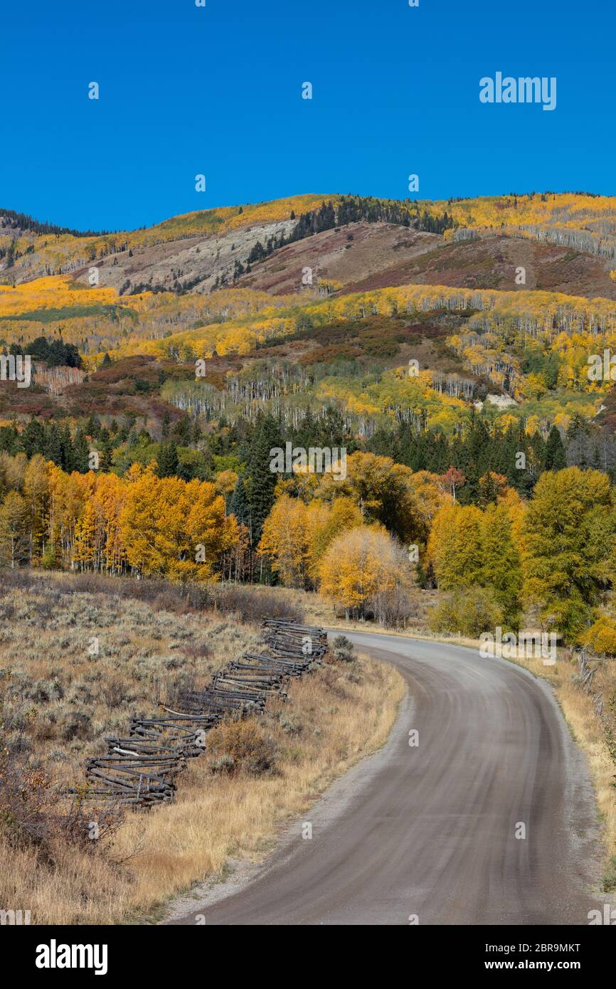 Route rurale dans le comté de Gunnison à l'automne, Colorado Banque D'Images