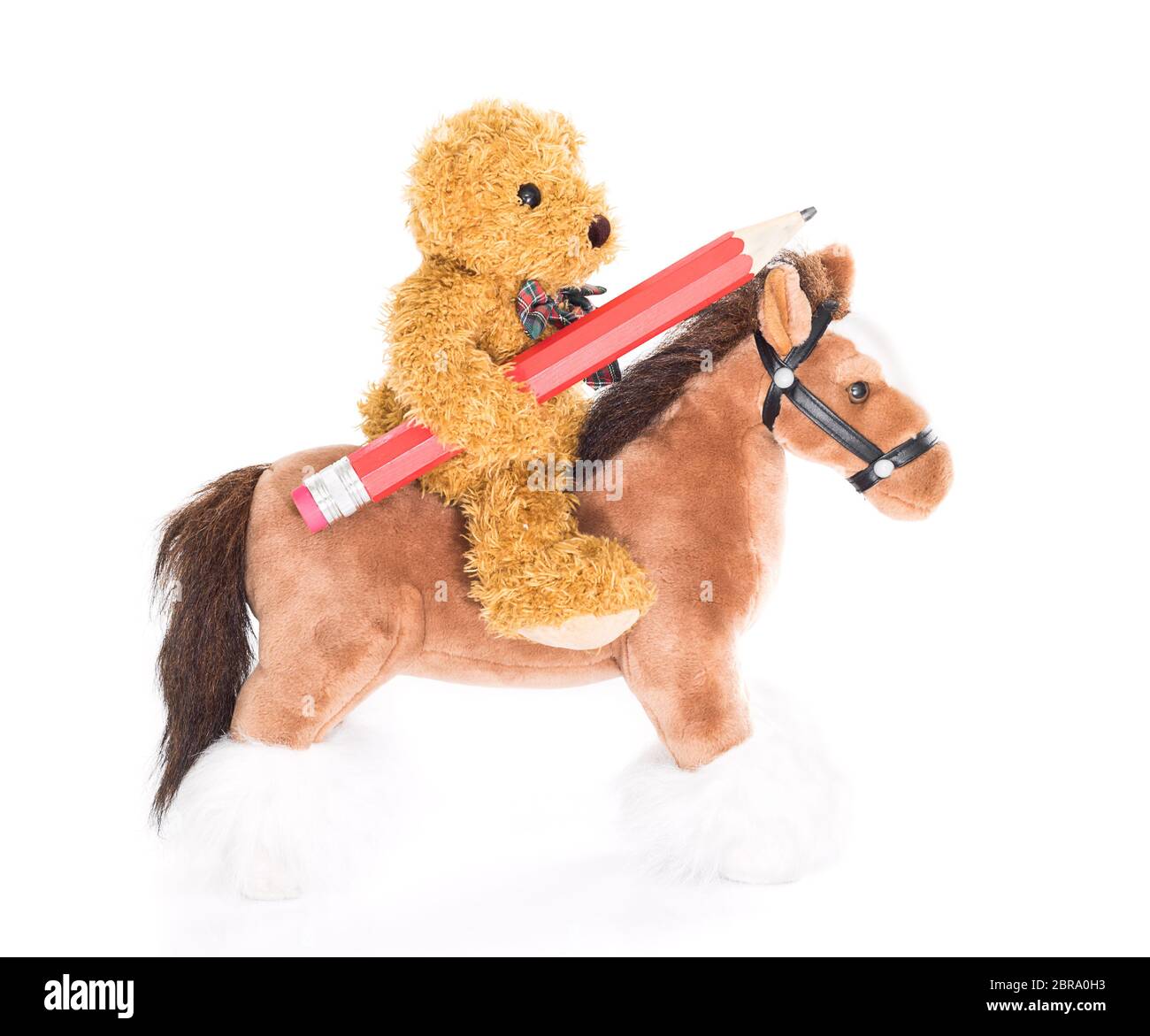 Un ours en peluche fait un cheval et tient le crayon sur fond blanc Banque D'Images