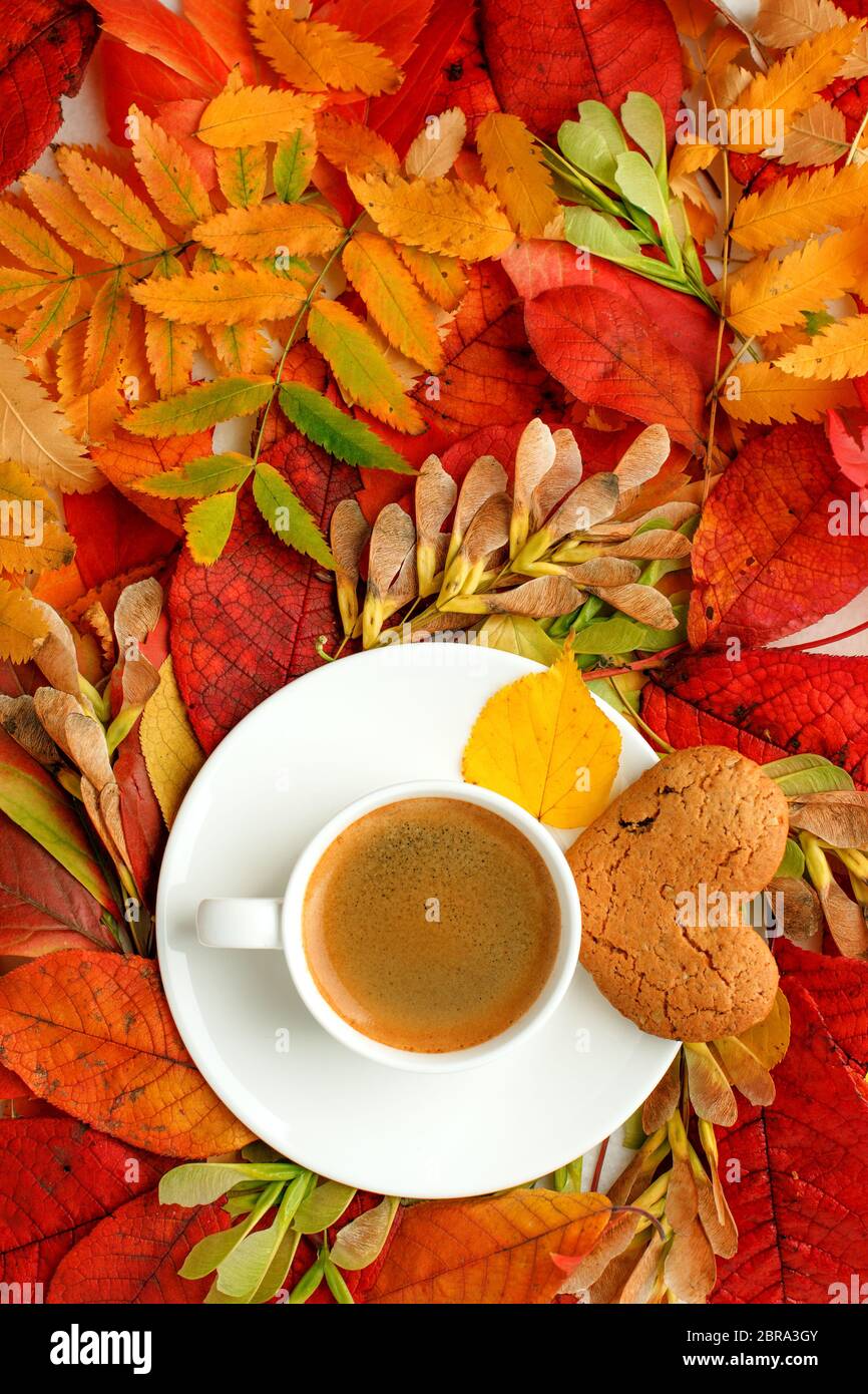 Contexte du concept de composition d'automne. Tasse à café Americano avec feuilles d'automne brillantes. Fond à plat, motif de vue de dessus simple, concept saisonnier m Banque D'Images