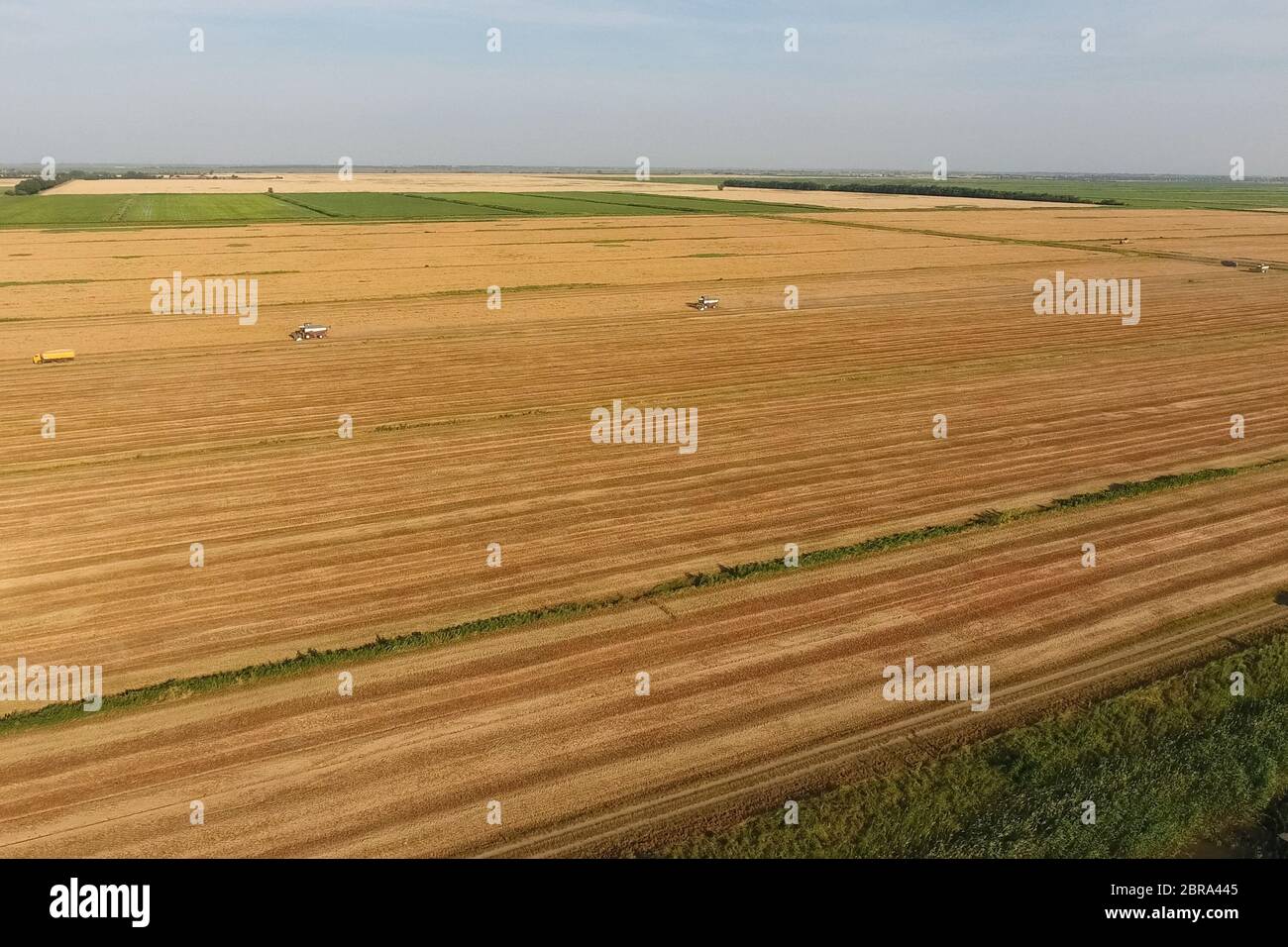 La récolte à la moissonneuse-batteuse de l'orge. Strada sur le terrain Banque D'Images